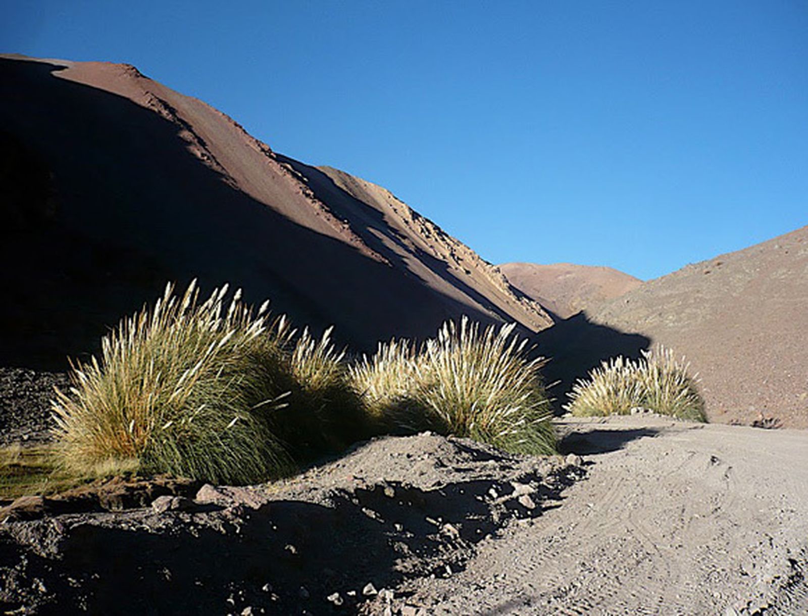Atacama, mensaje a mensaje