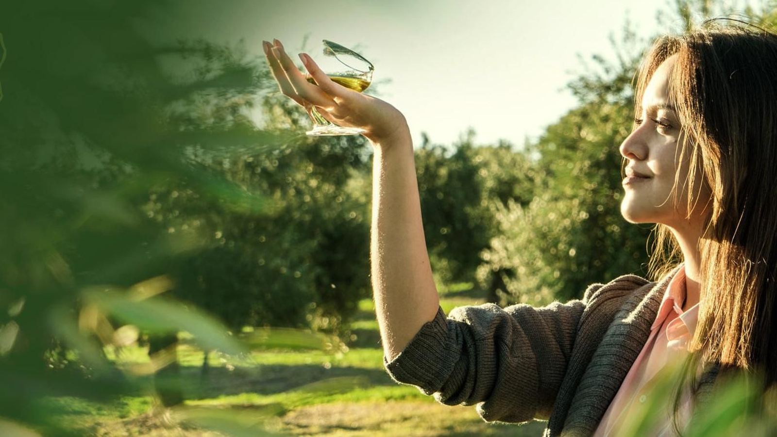 Descubre el auténtico color, olor y sabor del oro líquido jiennense con las IX Rutas del Aceite de Jaén.