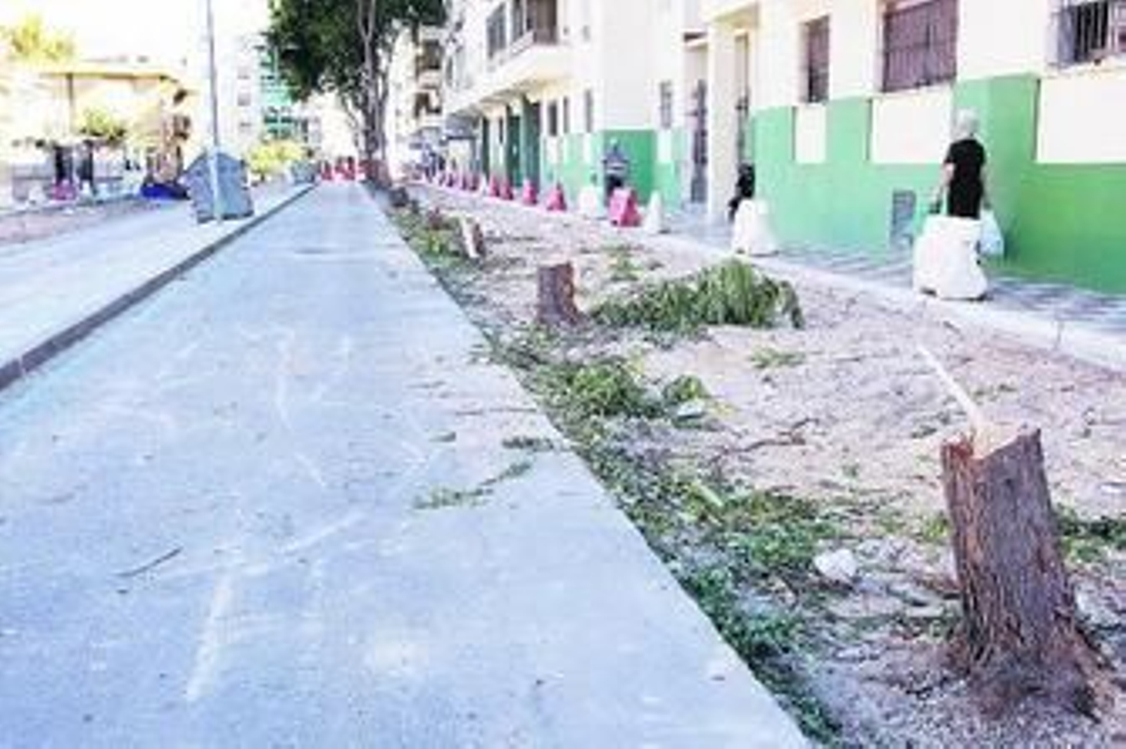 La masacre de los árboles se puede observar en esta imagen tomada ayer mismo.