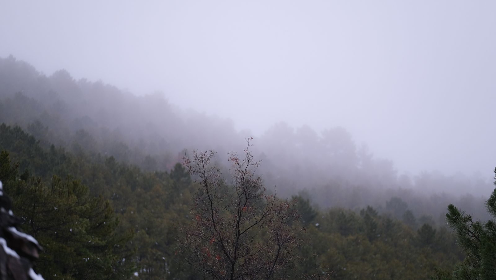 Fotogalería nevada en la Provincia de Almería