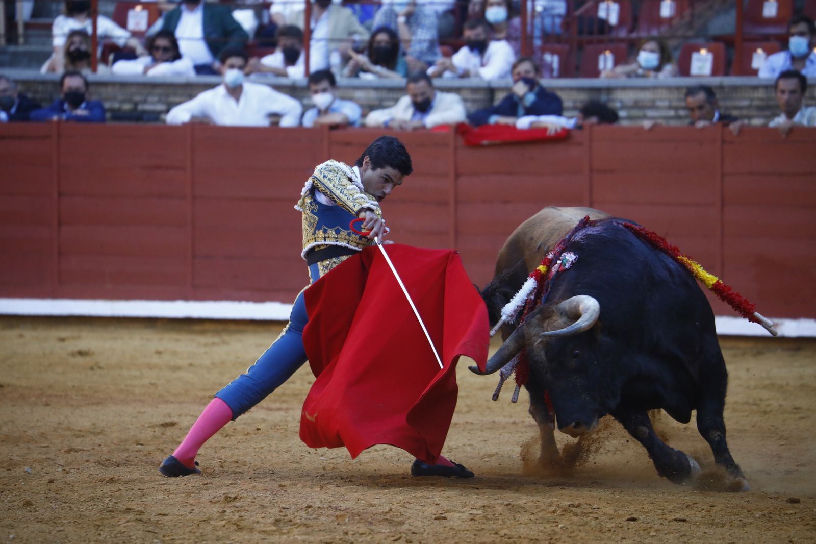 Las fotografías de la corrida mixta de la Feria Taurina de Córdoba con Roca Rey, Aguado y Ventura