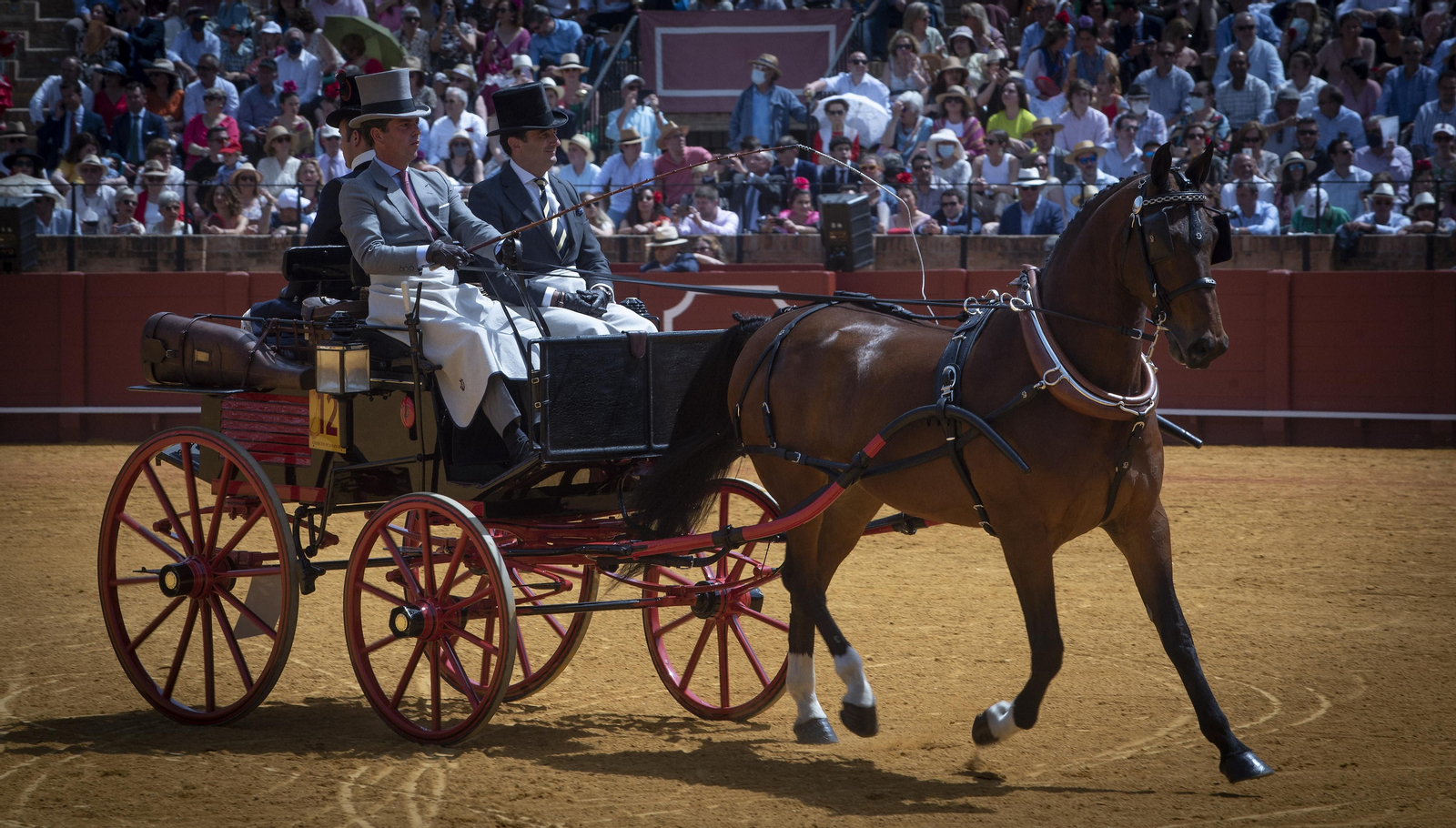 Las imágenes de la Exhibición de Enganches en la Maestranza