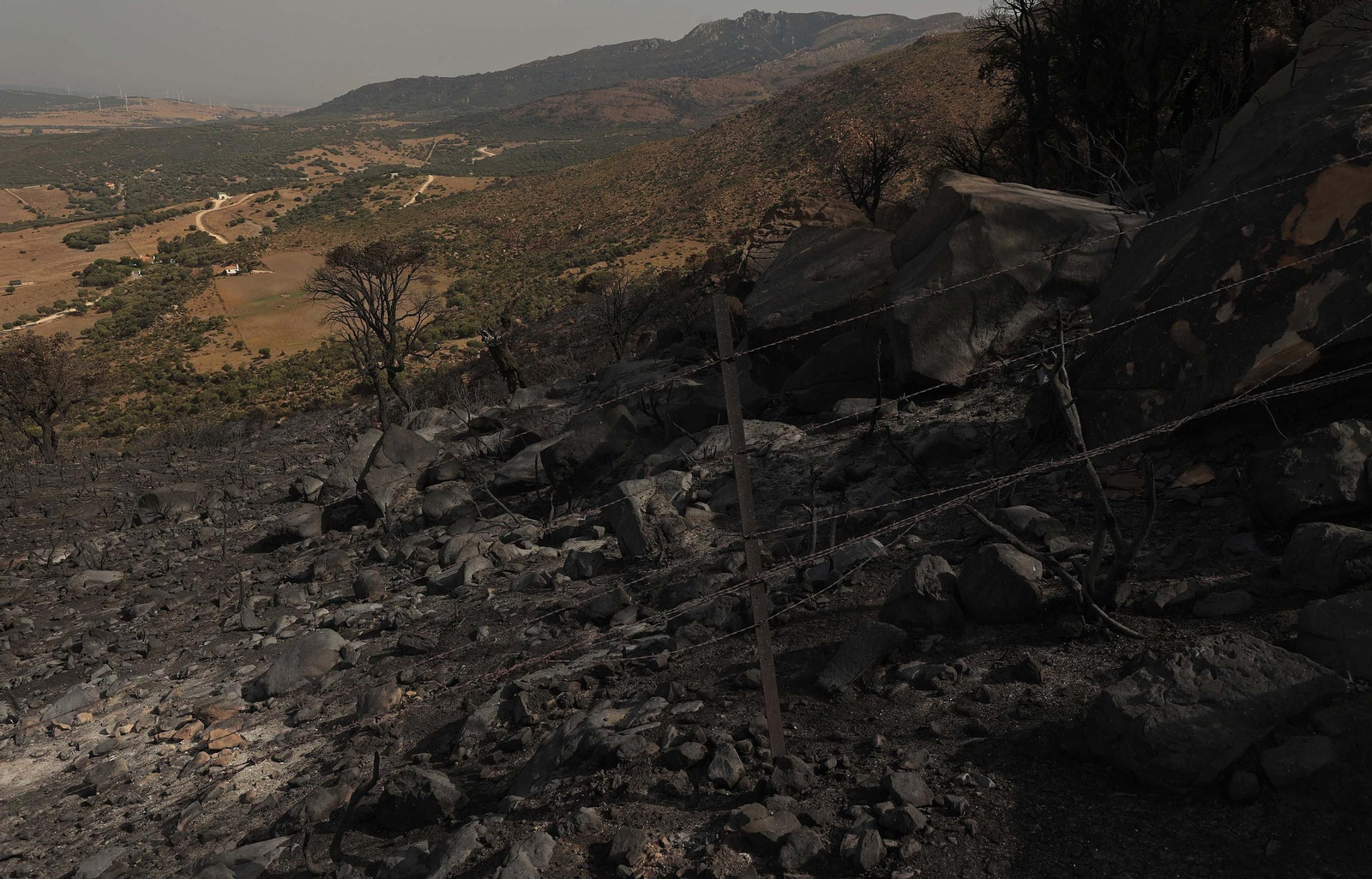 Fotos de los efectos del incendio en el monte de La Peña en Tarifa