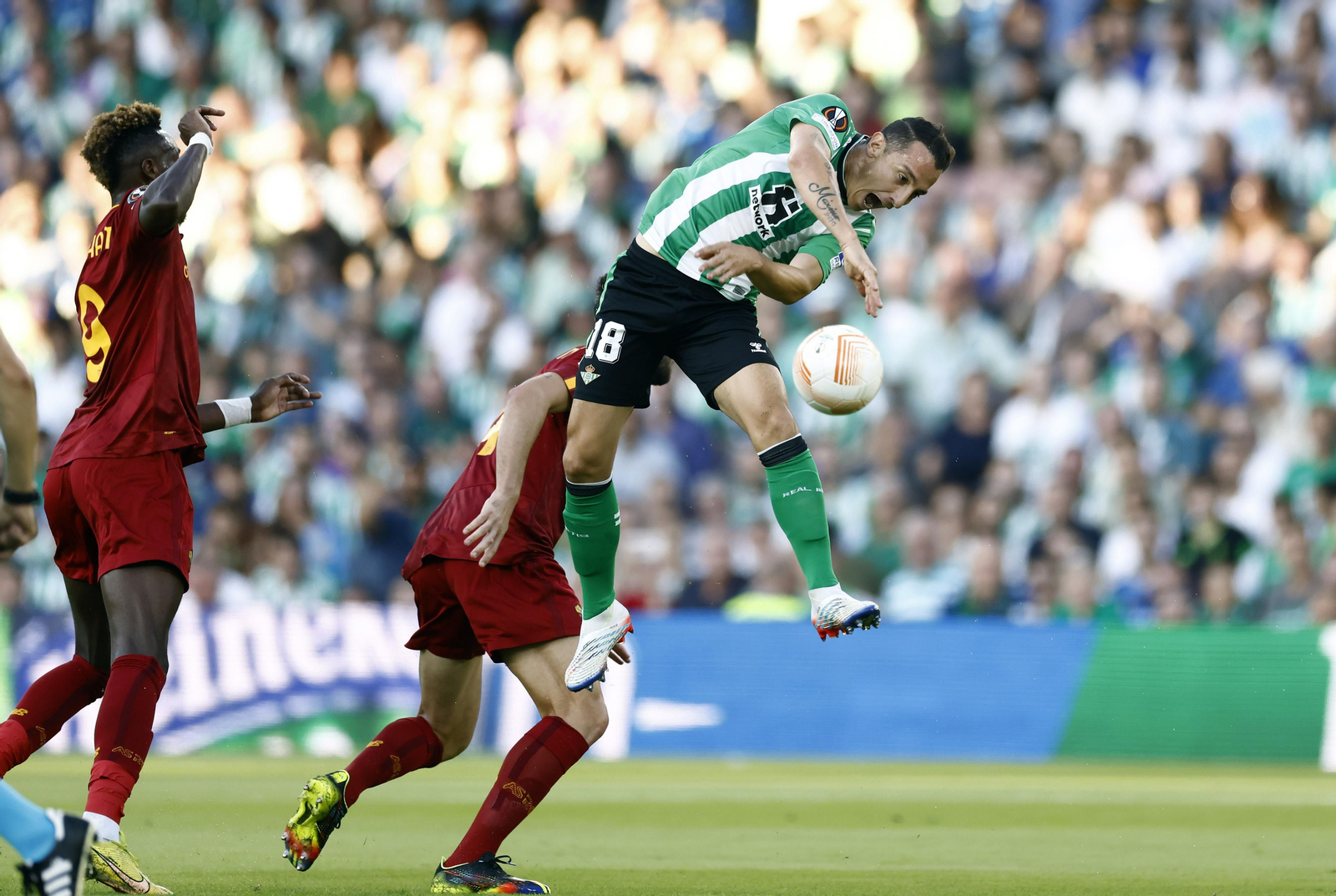 Las imágenes del Betis-Roma