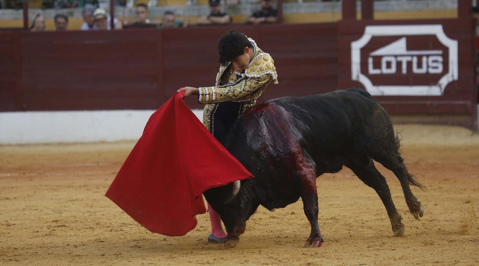 Fotos del triunfo de Manuel Roman y Javier Zulueta con la buena novillada de Núñez de Tarifa que abrió la Feria de La Línea