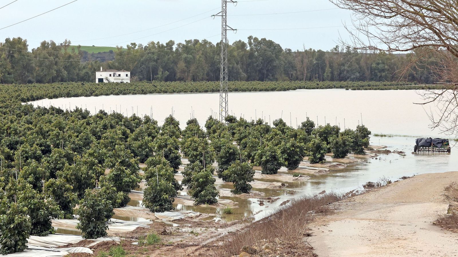 El Guadalete comienza a bajar su nivel poco a poco por la zona rural de Jerez