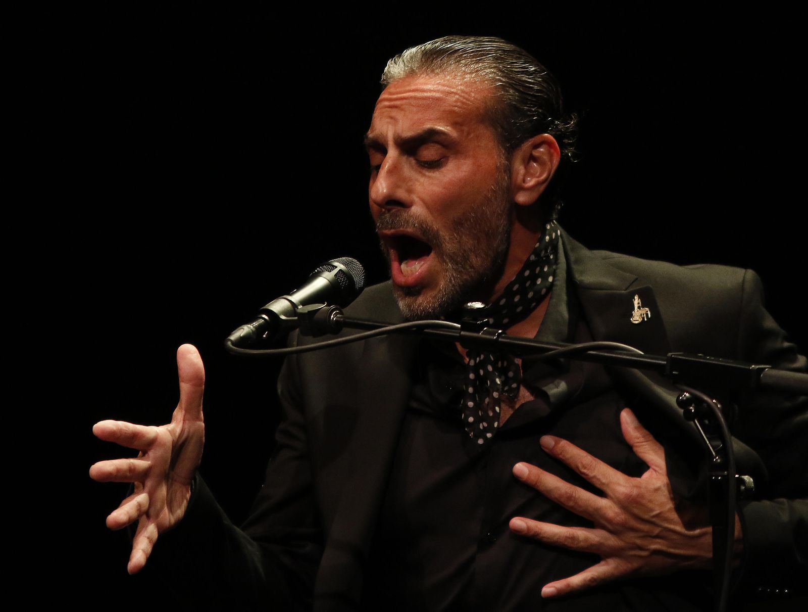 El Granaíno ayer sobre las tablas del Lope de Vega.