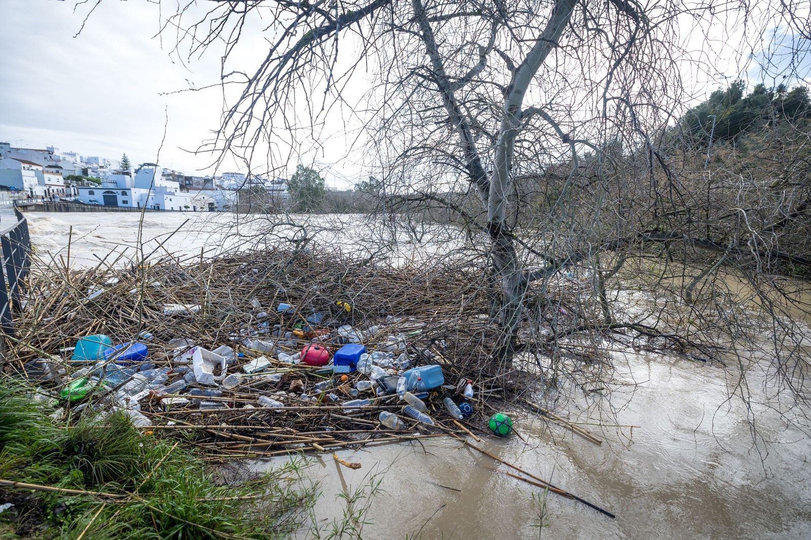 Las imágenes de las inundaciones en Arcos: la espectacular crecida del río Guadalete por la apertura de las presas