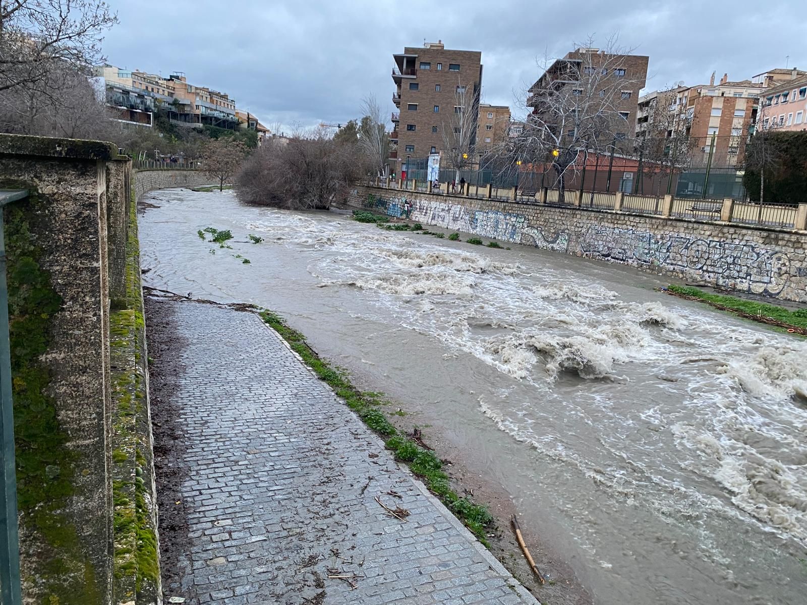 Las fotos de la previa de la borrasca Leonardo: nieve en Prado Negro y el río Genil en Granada, crecido