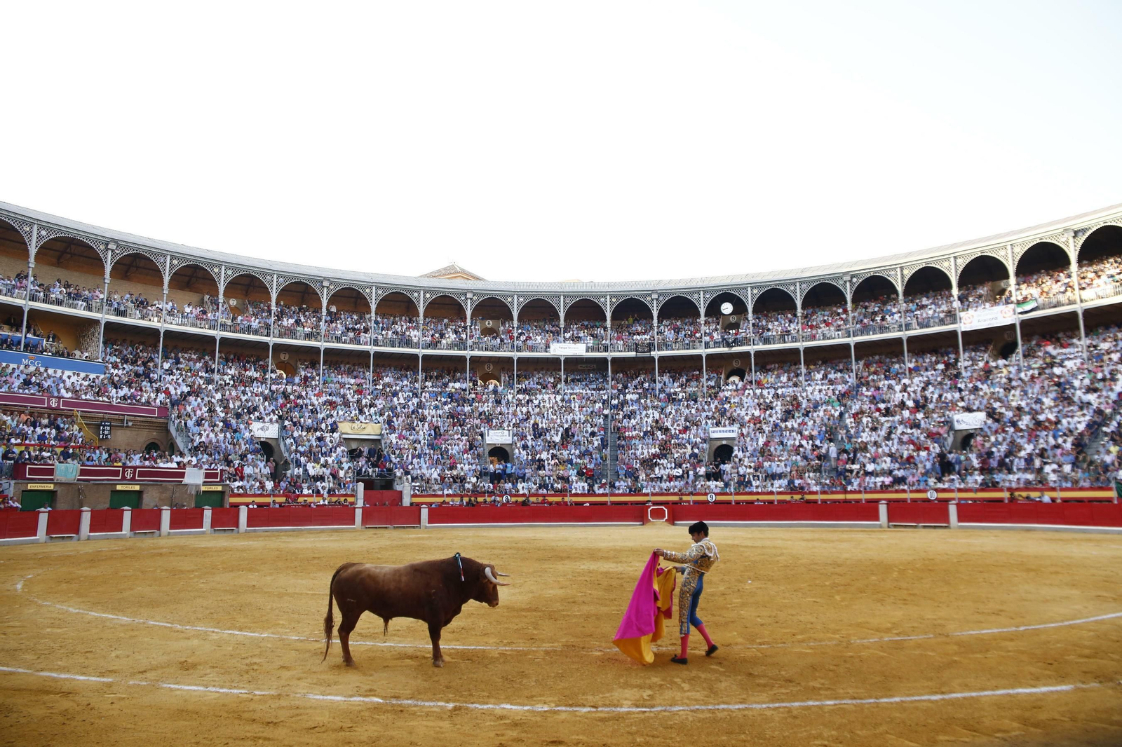 Las mejores imágenes del regreso a los ruedos de José Tomas en Granada Las mejores imágenes del regreso a los ruedos de José Tomas en Granada