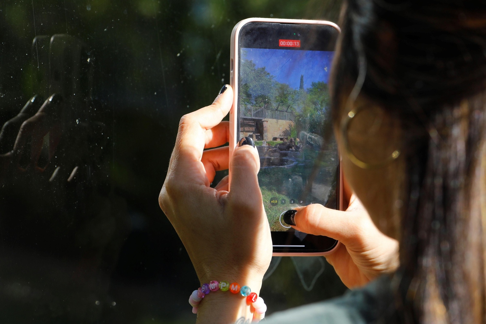 El Zoo de Córdoba recibe a dos tigres de bengala, en imágenes