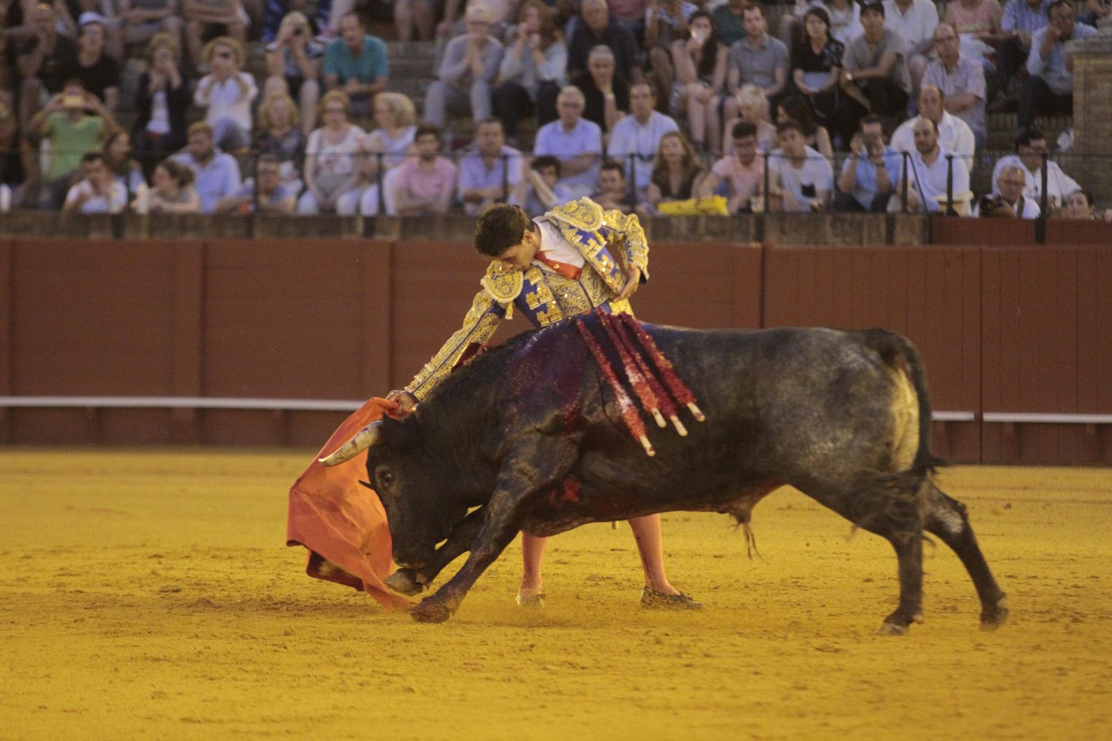 Aitor Darío 'El Gallo', con el primer novillo de la noche