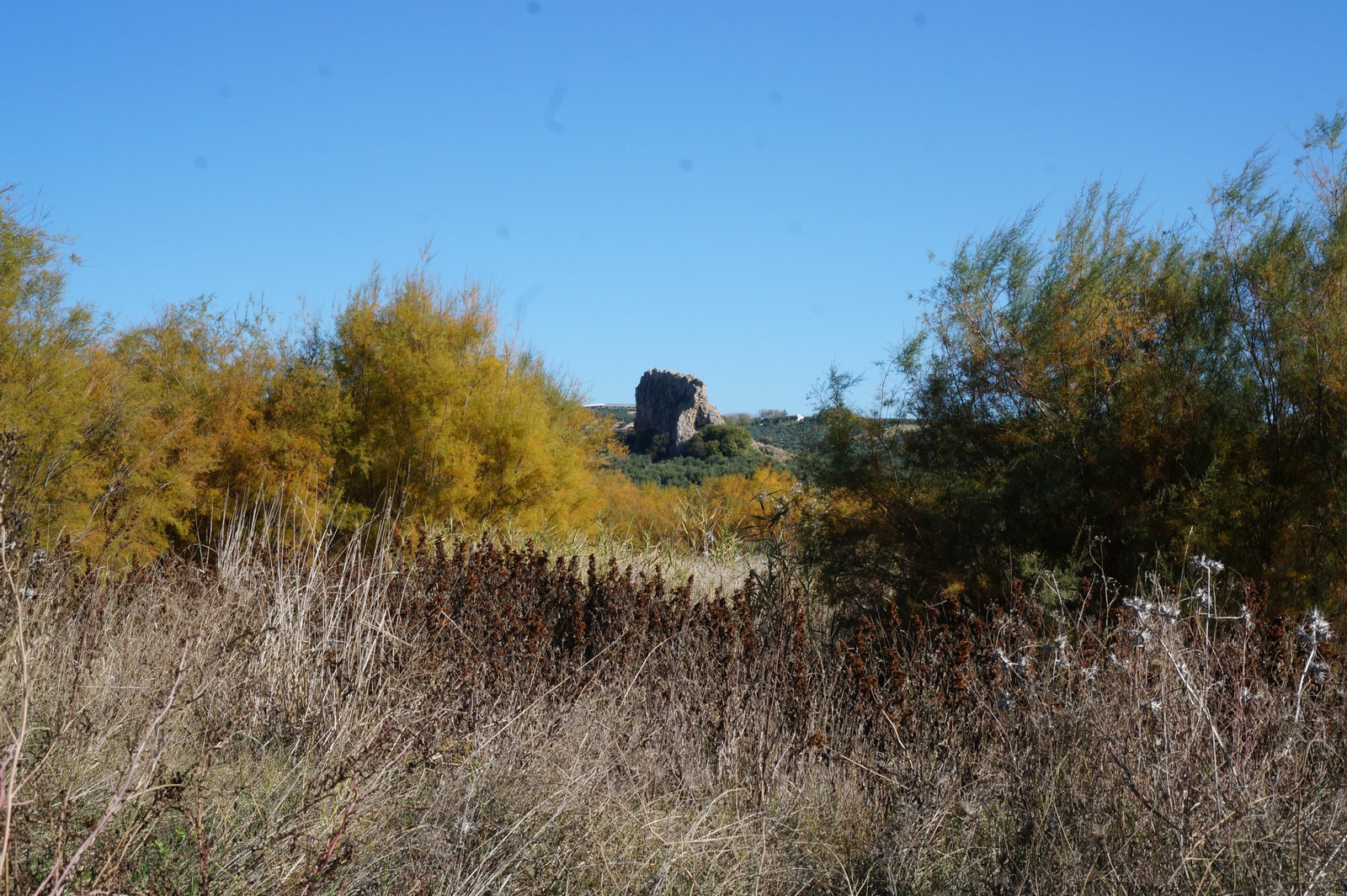 Piedra Luenga, la mole rocosa de Montilla, en fotografías
