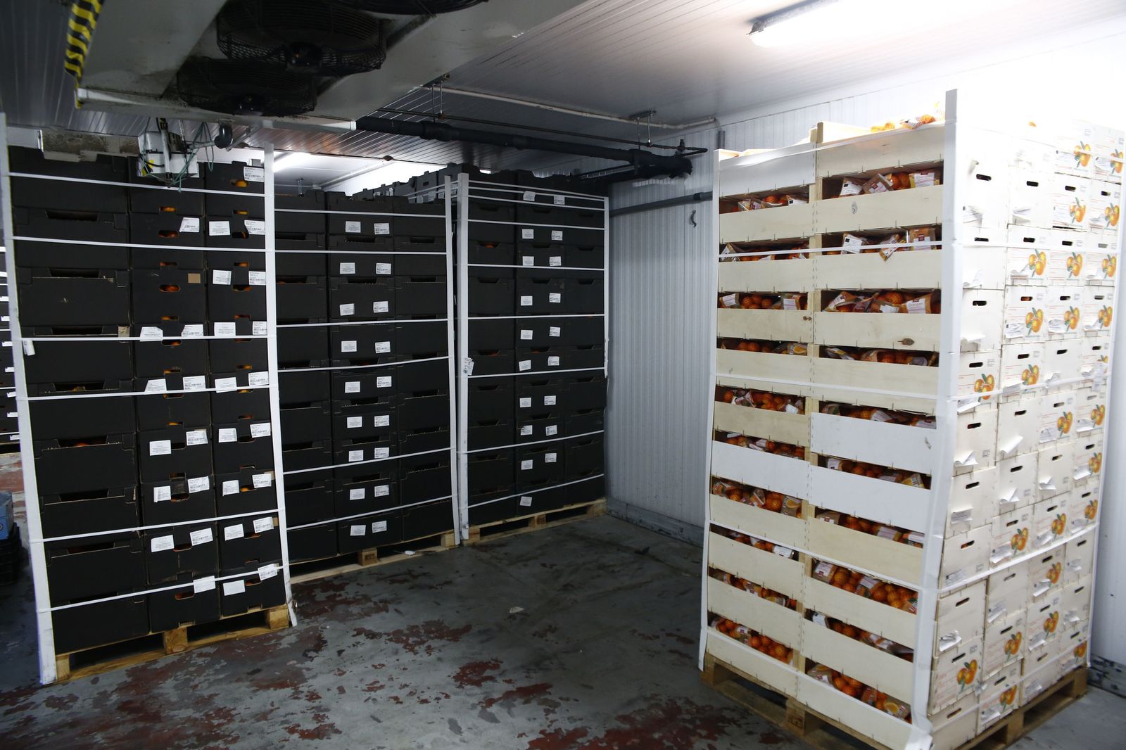 Exigen una auditoría de los contratos de MercaGranada