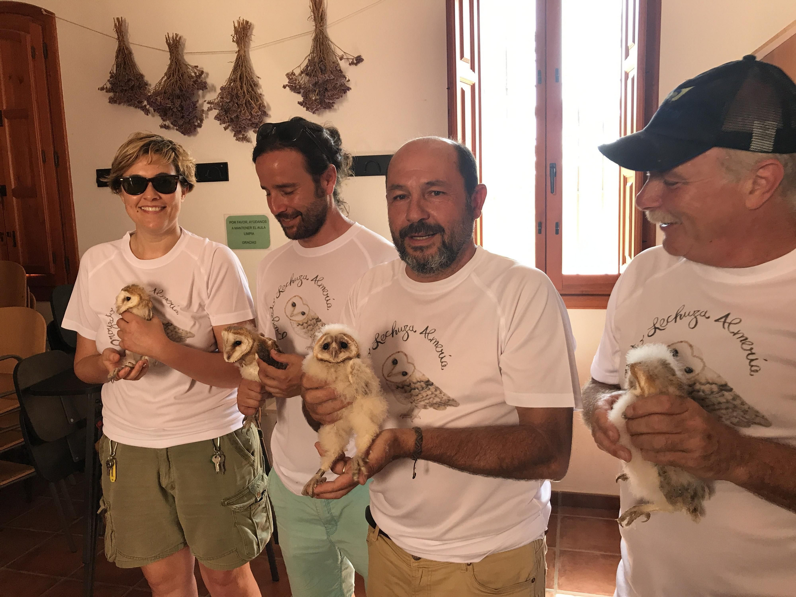 Fotogalería de las nuevas crías de lechuza en Rodalquilar