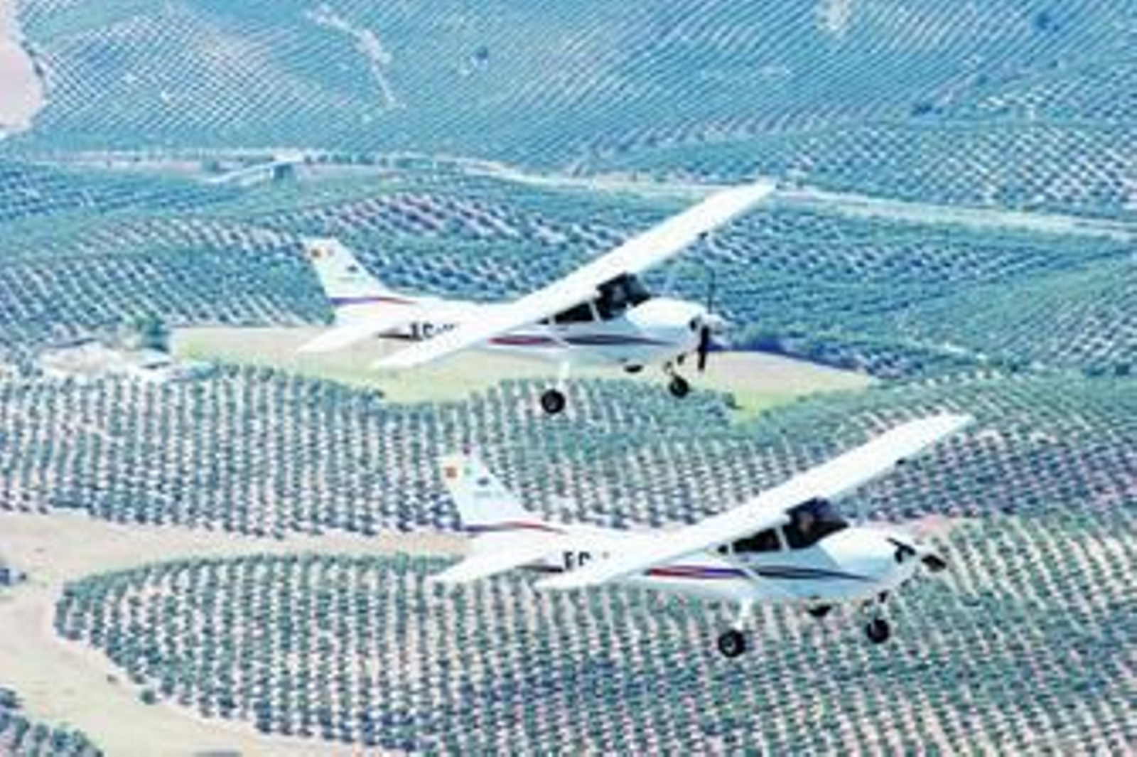 En la imagen, dos modelos de avión Cessna 172 R, de tres plazas, que pertenecen a la flota de Dimensión Aérea para realizar vuelos turísticos.