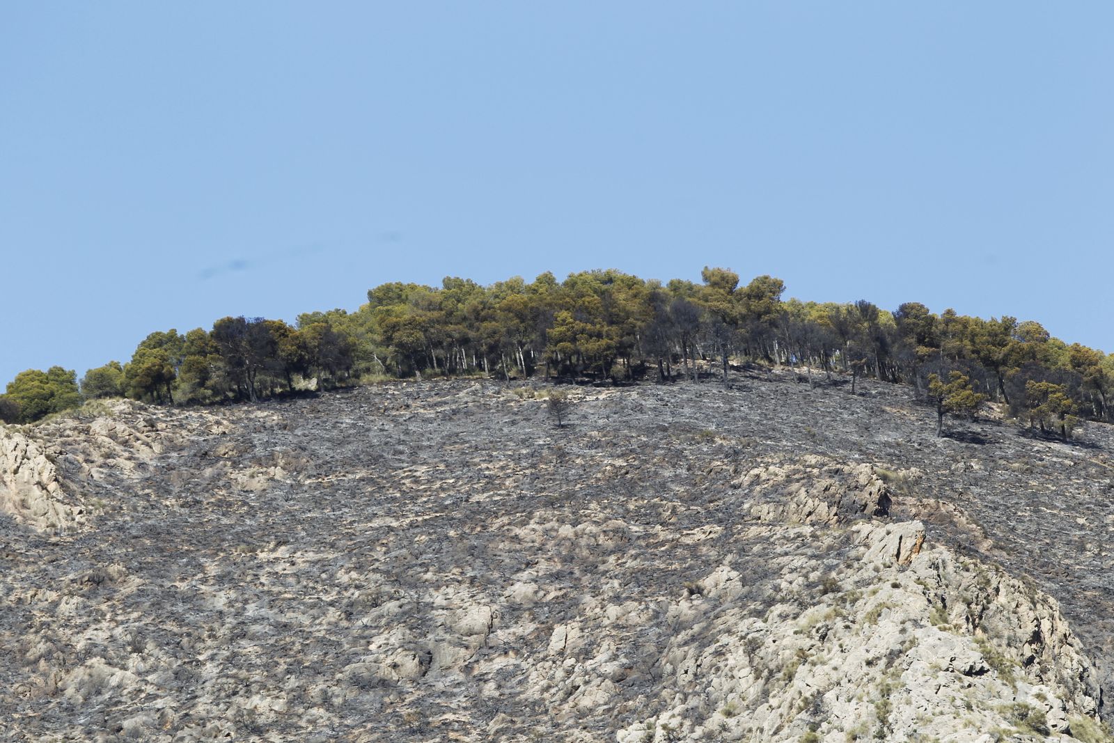 Fotogalería incendio forestal de Castala, Berja y Dalías.