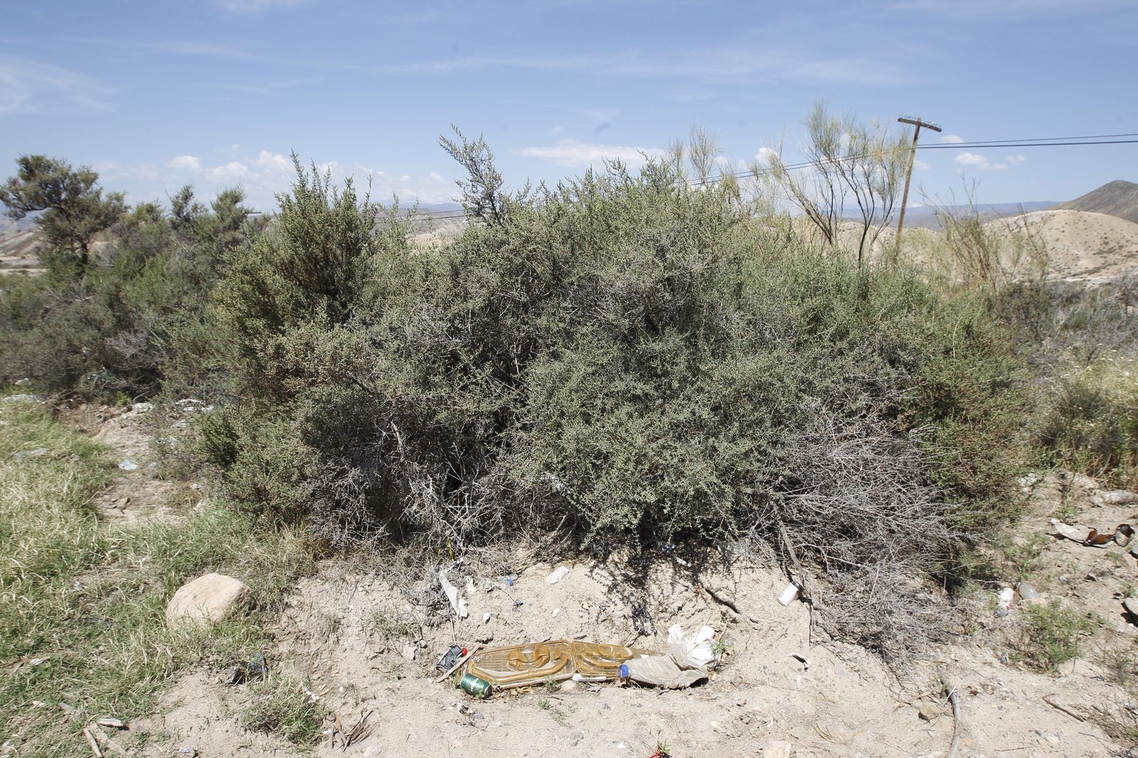 Fotogalería basura en el Desierto de Tabernas