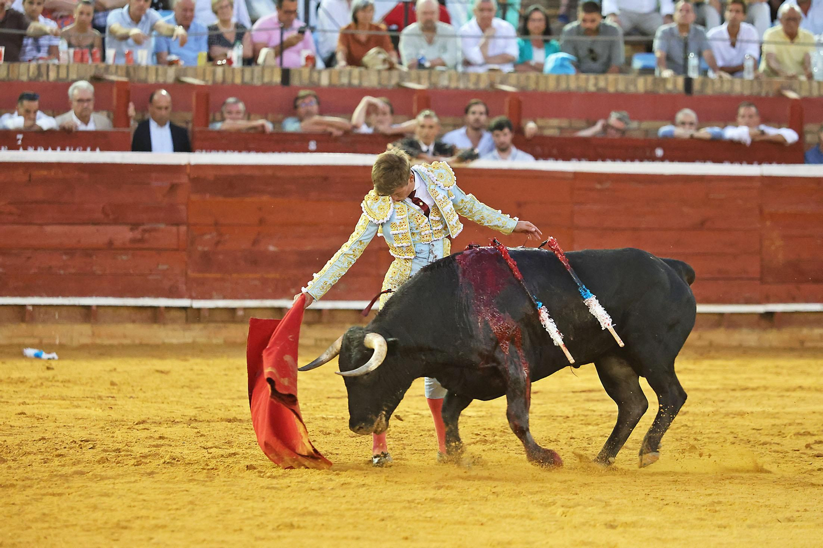 Toros La Merced 2024 Novillada con picadores(