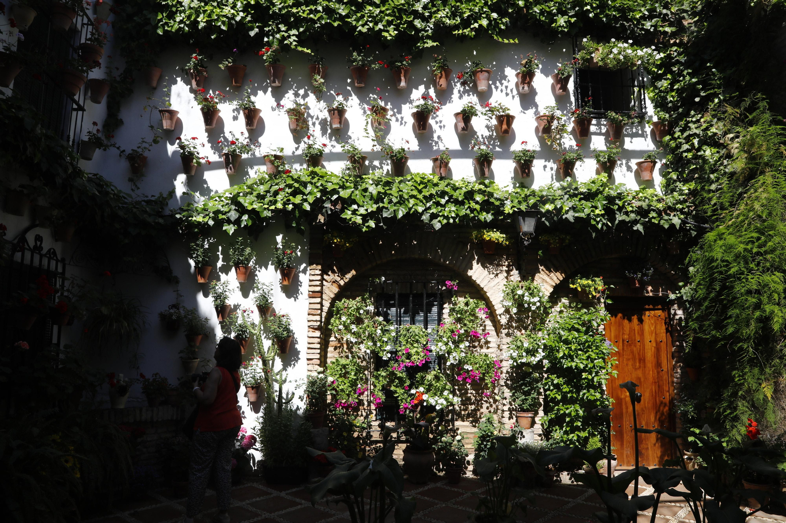 Los Patios de Córdoba se preparan para el fin de semana, en imágenes