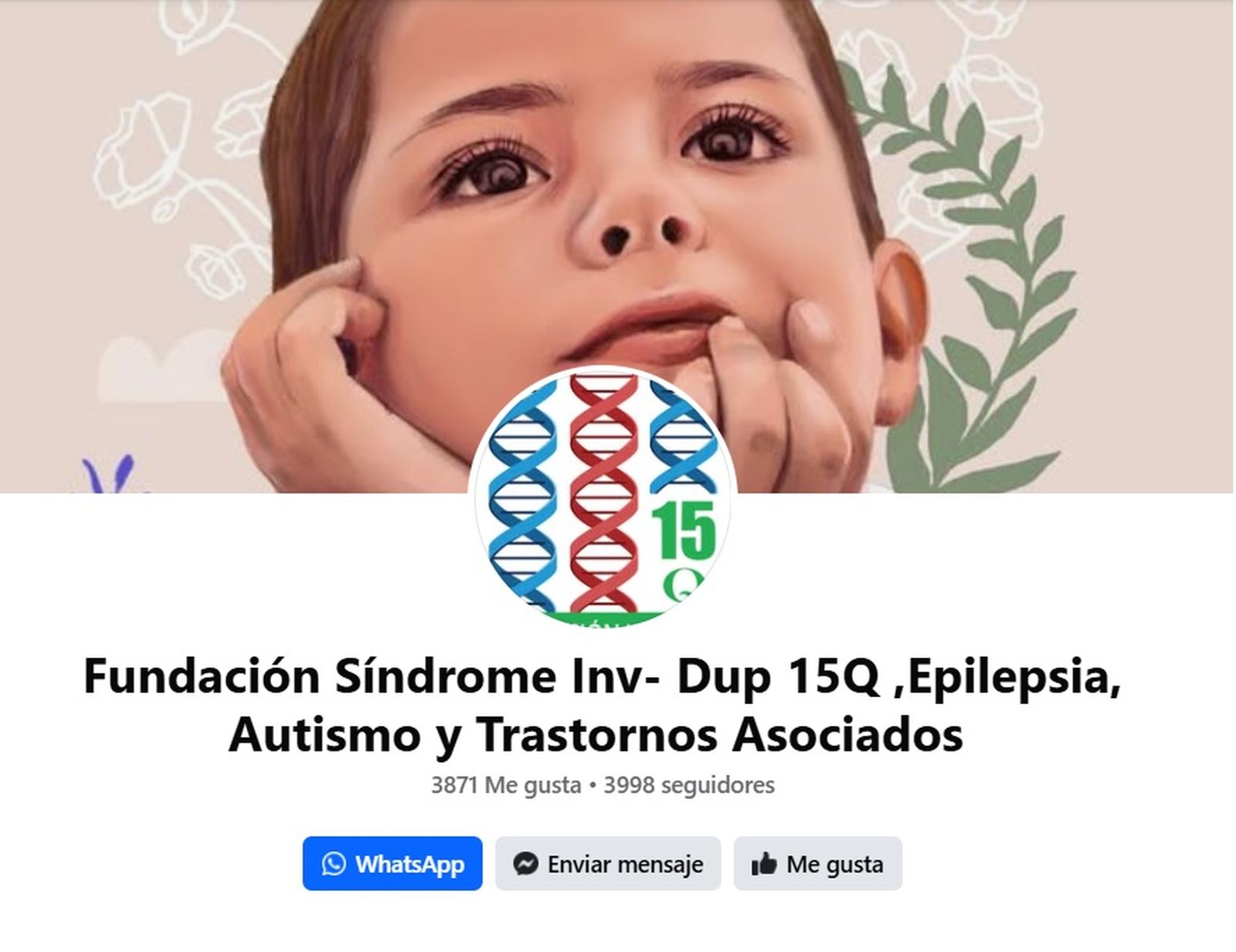 Imagen de la página de Facebook de la Fundación 15q.