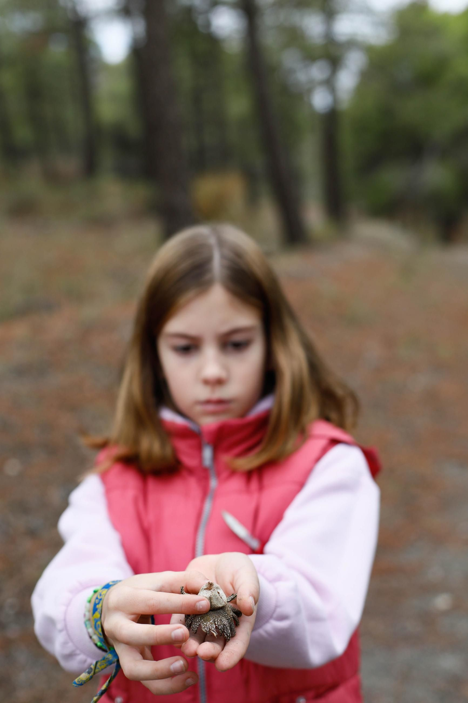 La ruta recolectora de setas en Abla por las XIX Jornadas Micológicas, en imágenes