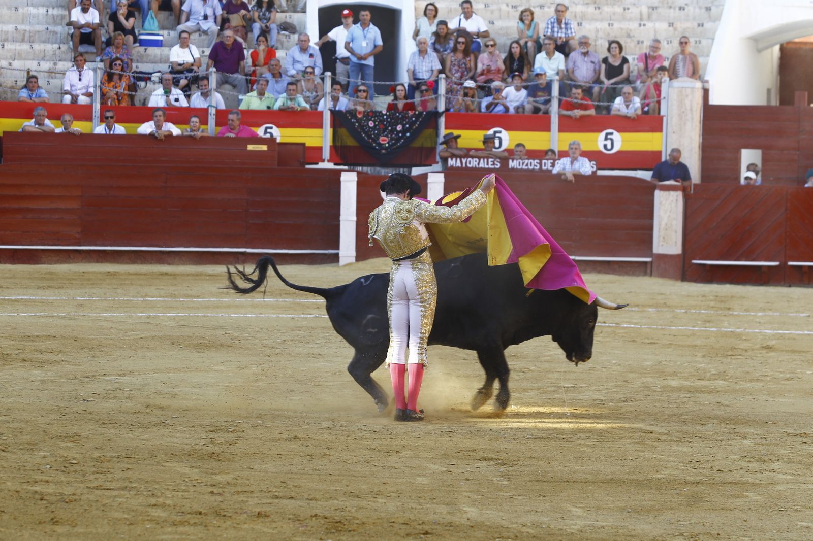 Fotogalería de la novillada de la Feria Taurina de Almería 2022