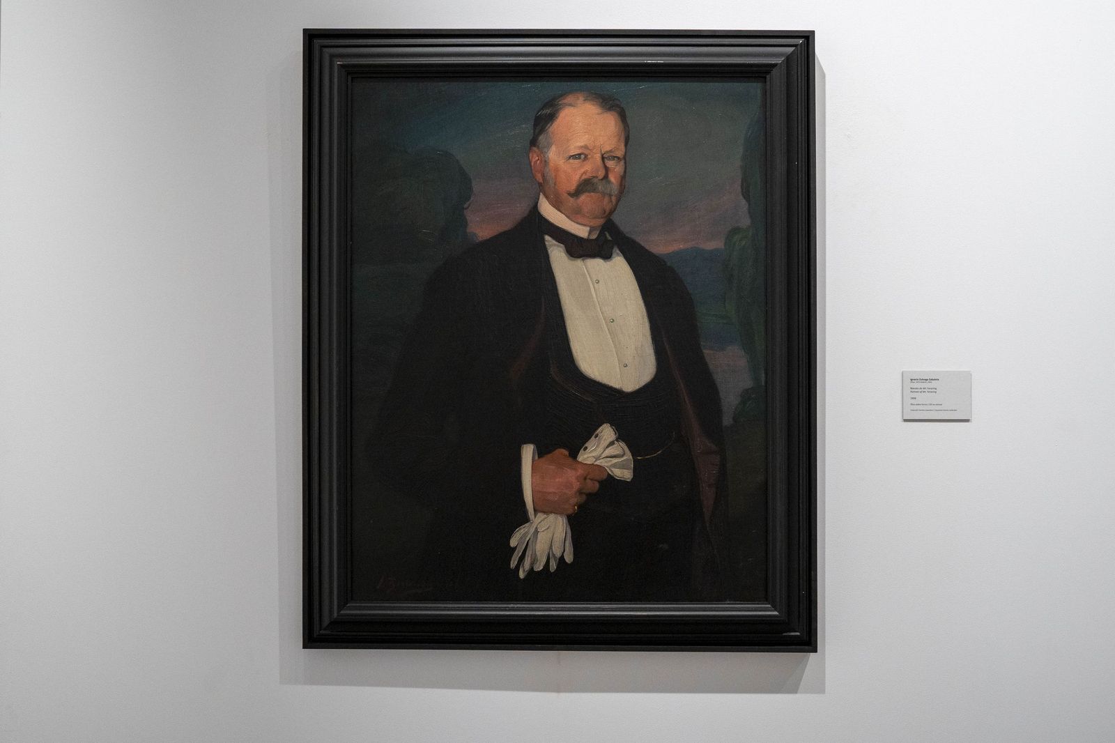 Fotogalería de la nueva obra de Zuloaga de la familia Cosentino en el MUREC