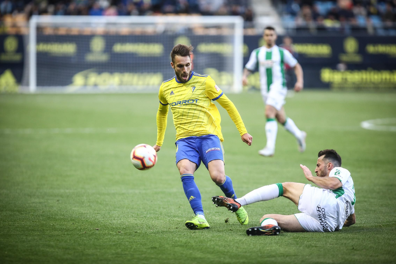 Las imágenes del Cádiz - Córdoba