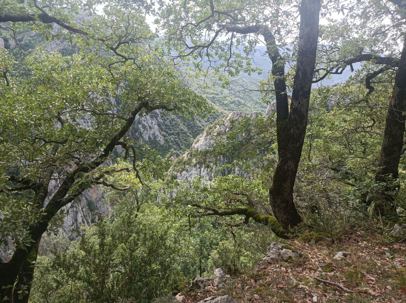Subida al Paso de la Croqueta.