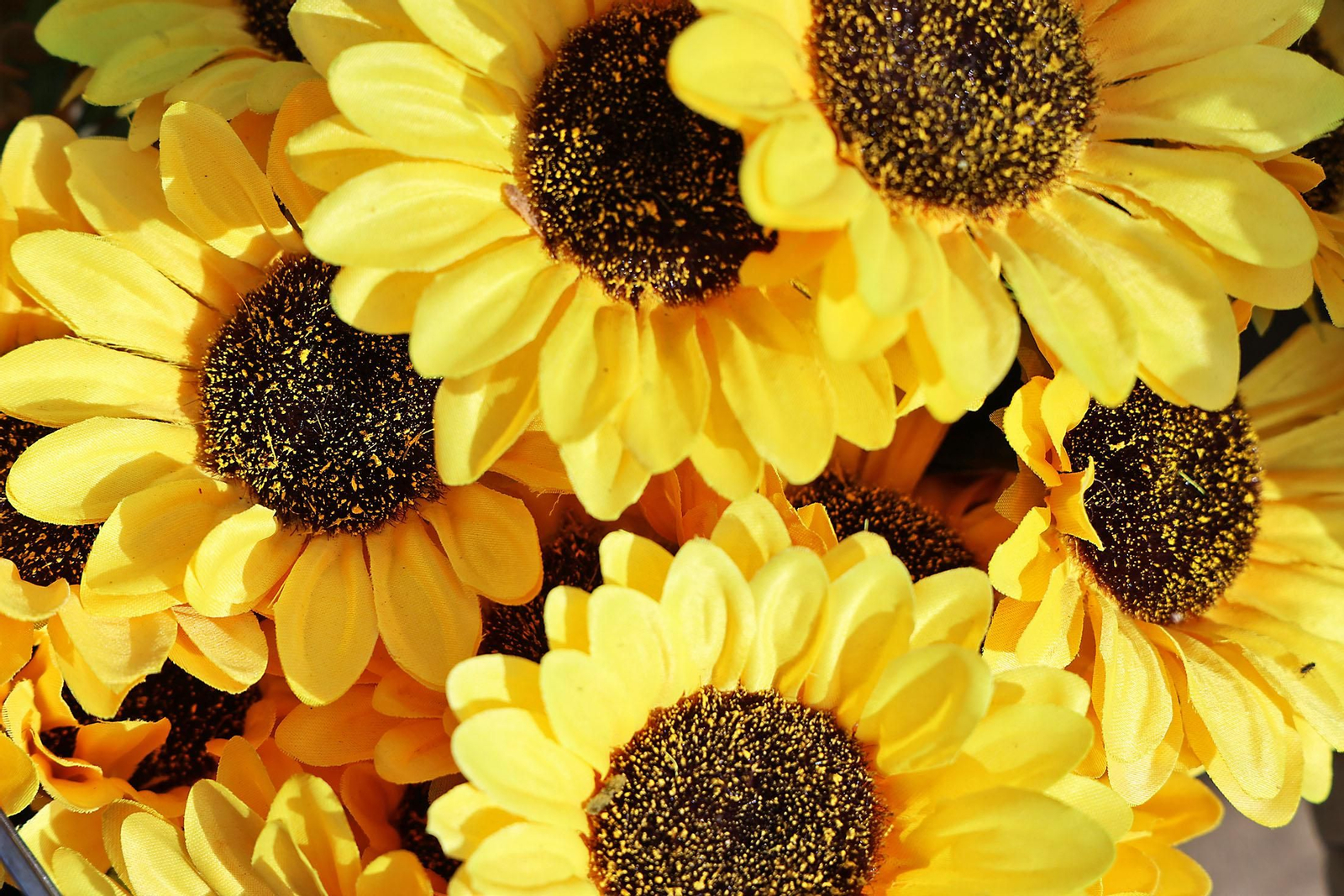 Las imágenes más destacadas del lunes 28 de octubre en Huelva