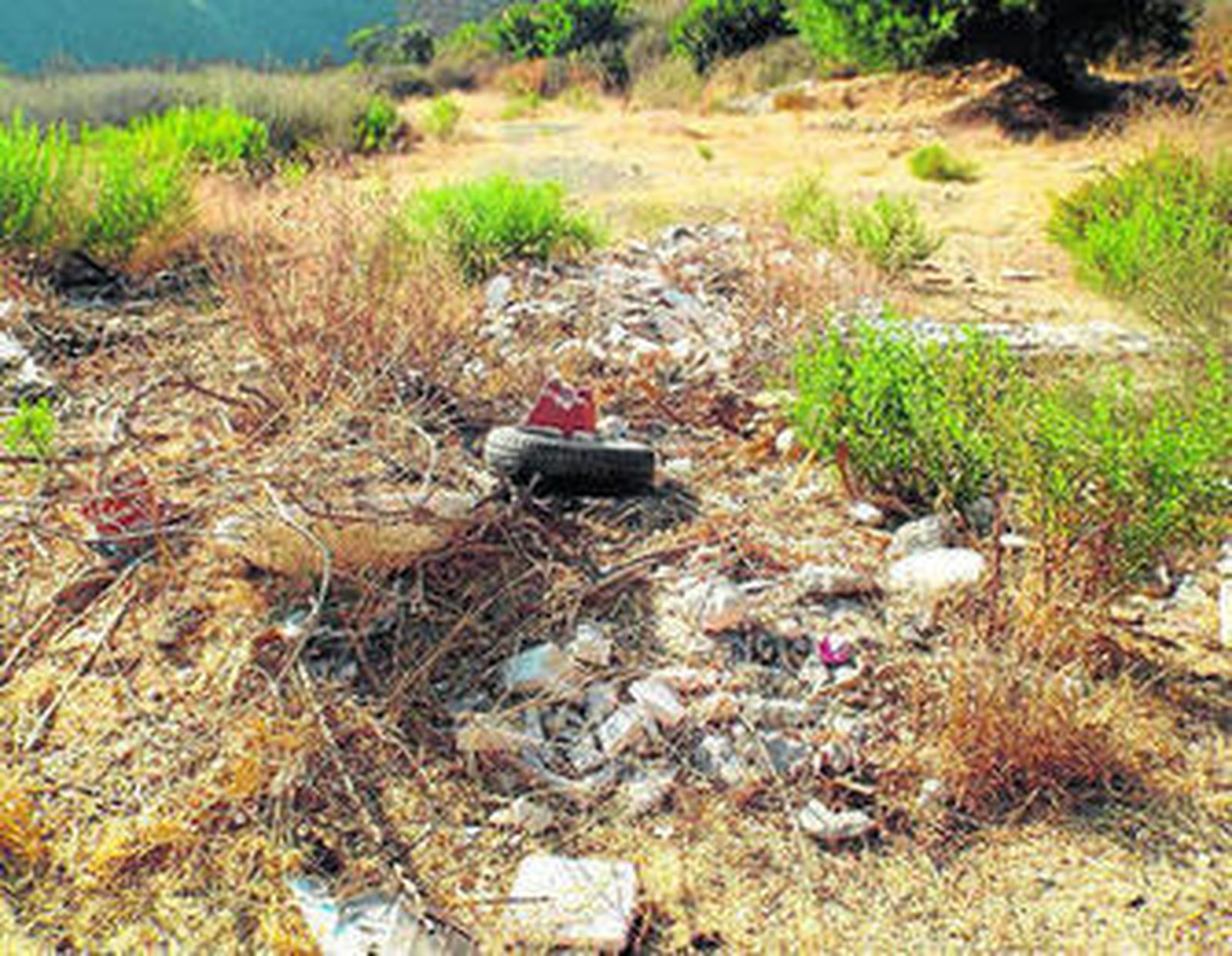 Desperdicios en las márgenes de Río Real.