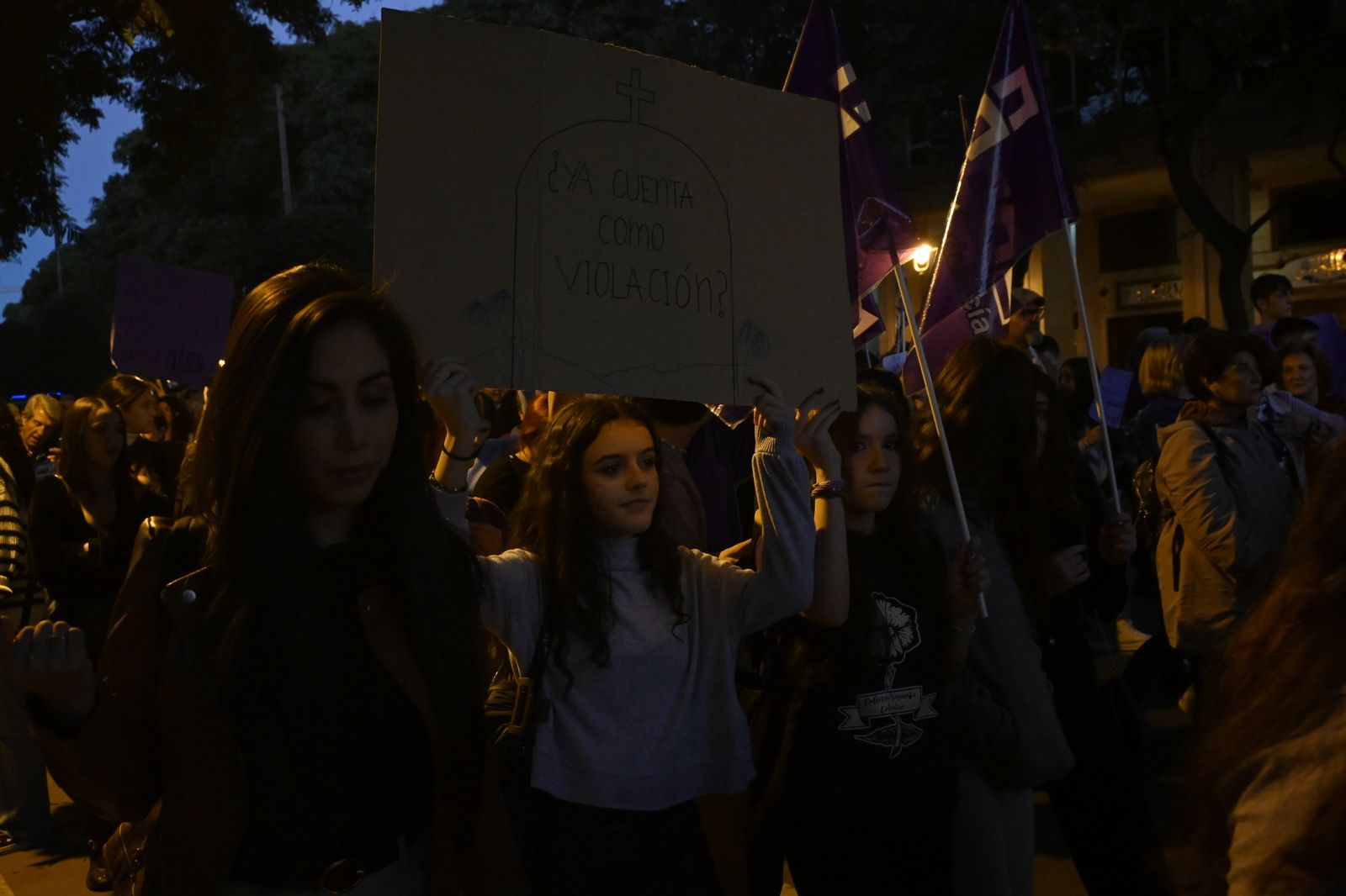 Manifestación del 25N en Imágenes.
