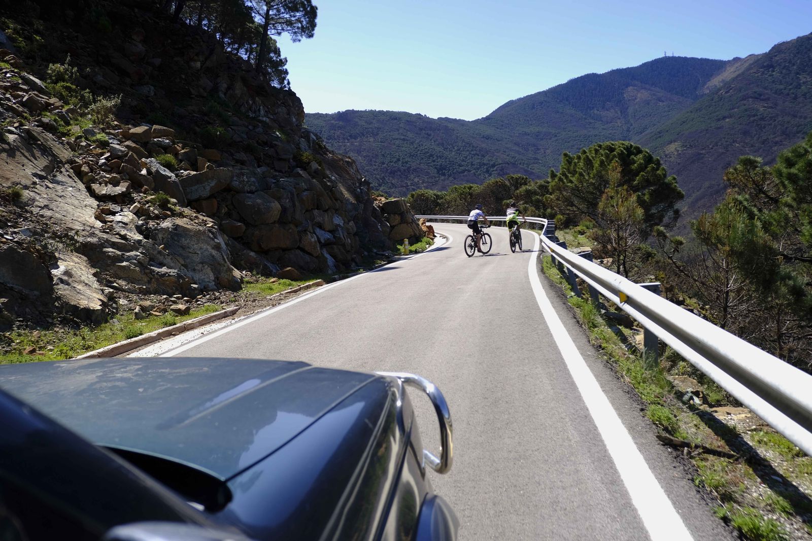 Así se recupera Sierra Bermeja tras el incendio (fotos)