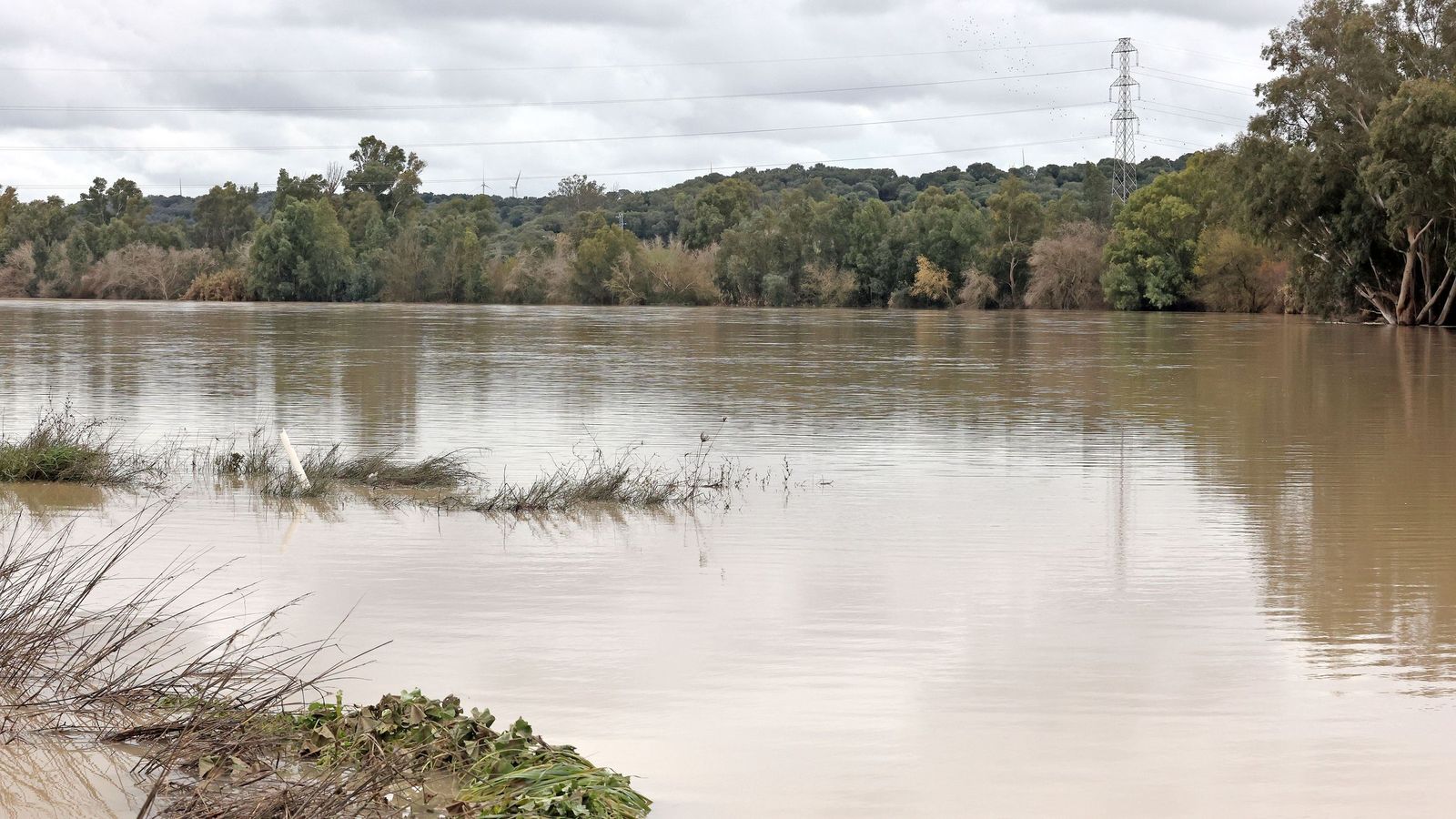 El Guadalete comienza a bajar su nivel poco a poco por la zona rural de Jerez