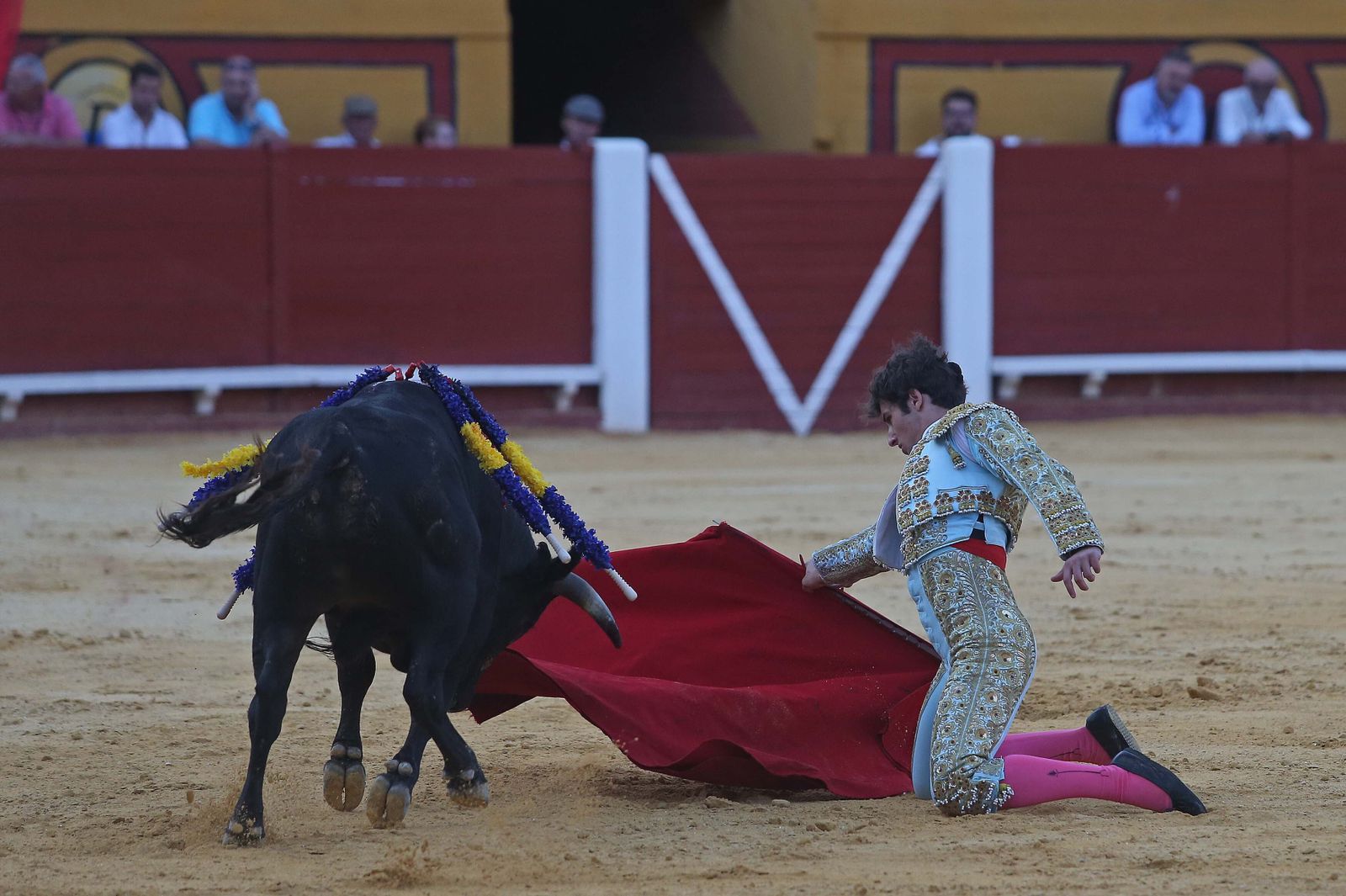 La novillada de Miguelín que abre la feria de Algeciras, en imágenes