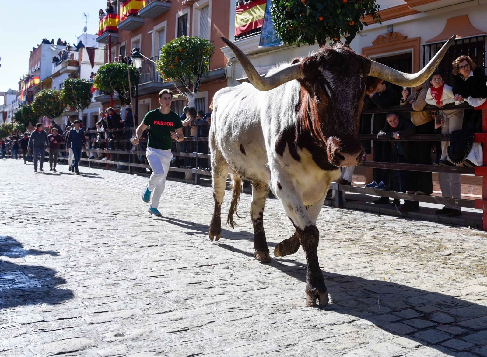 Las imágenes de los festejos de San Sebastián en La Puebla del Río 2026