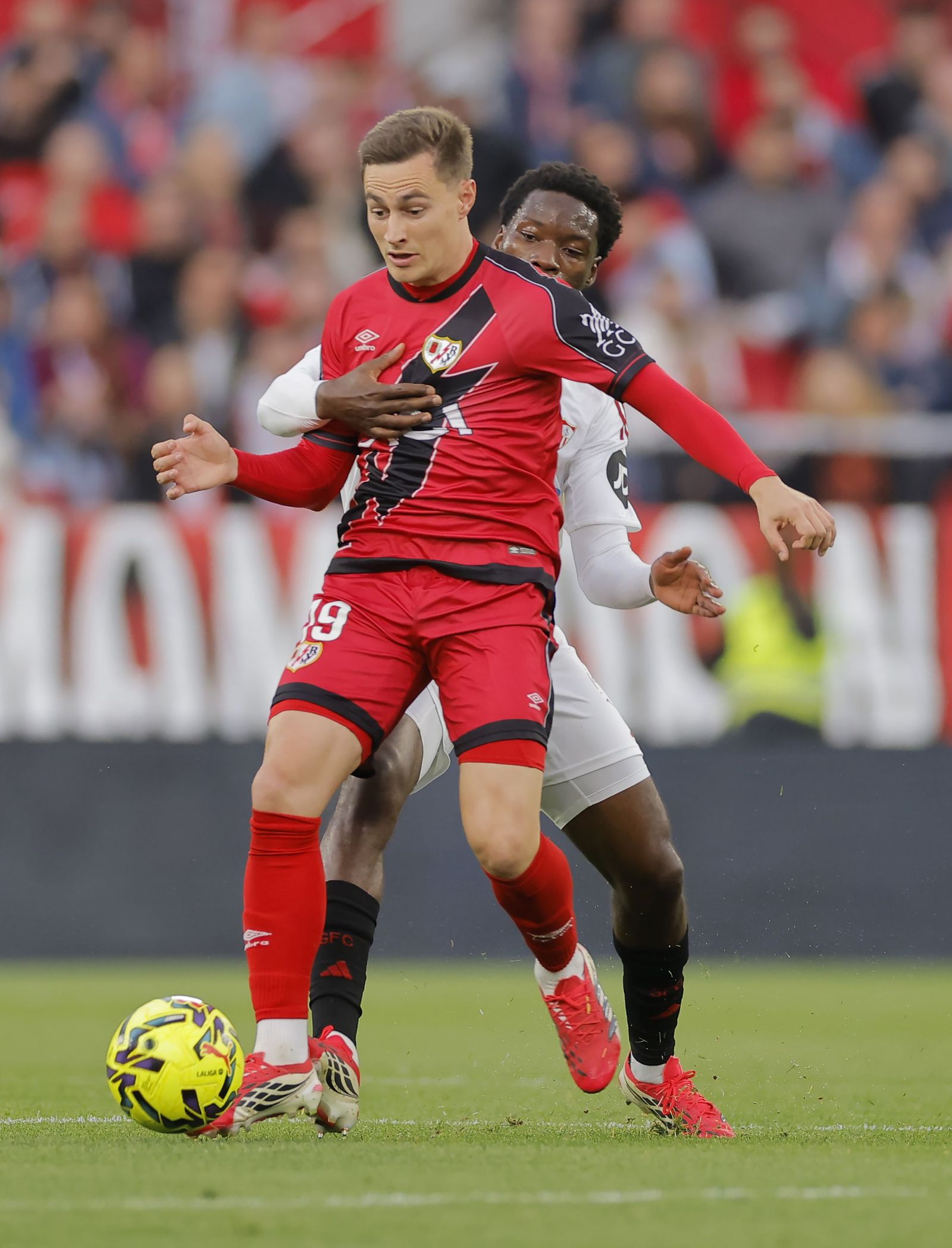 Las fotos del Sevilla FC - Rayo