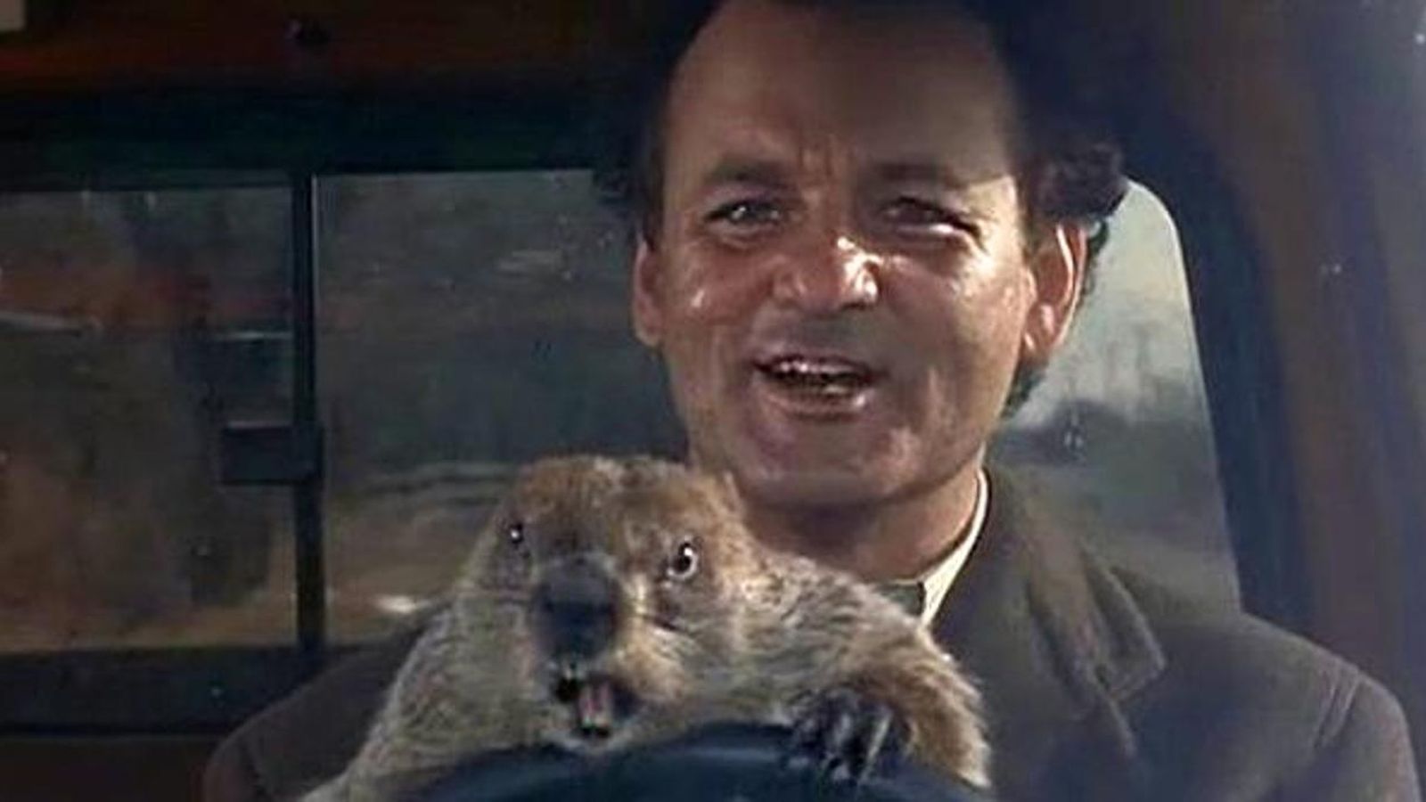 Bill Murray, con la marmota Phil, en la película 'Atrapado en el tiempo'.
