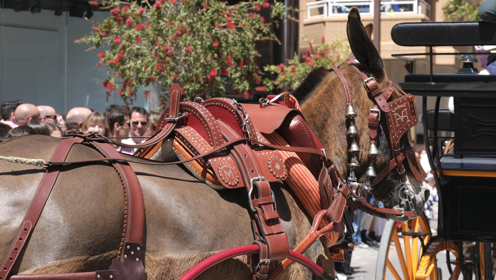Imágenes de las Fiestas de San Marcos de El Ejido.