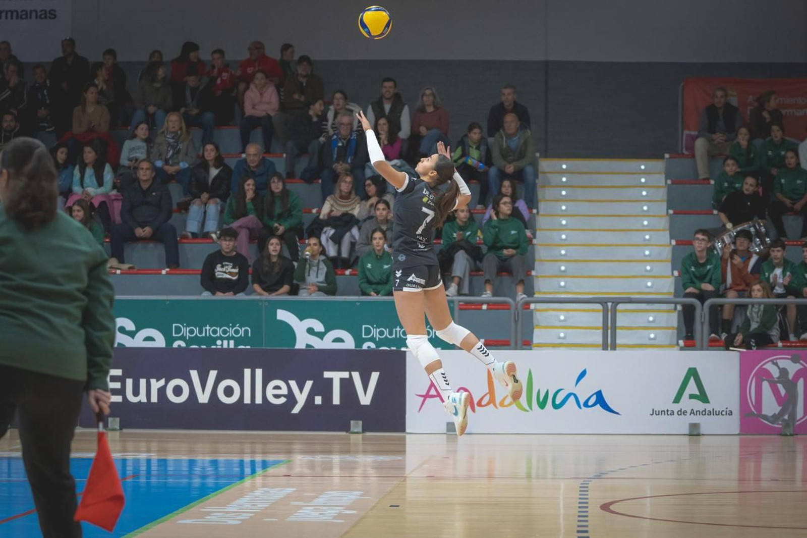 Las fotos del Fundación Cajasol Andalucía-Dynamo Apeldoorn