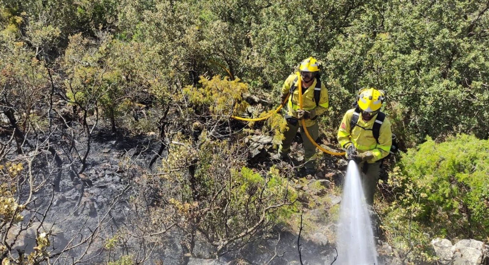 Extinguido el fuego forestal de El Valle, desvinculado del de Los Guájares que llegó a la comarca