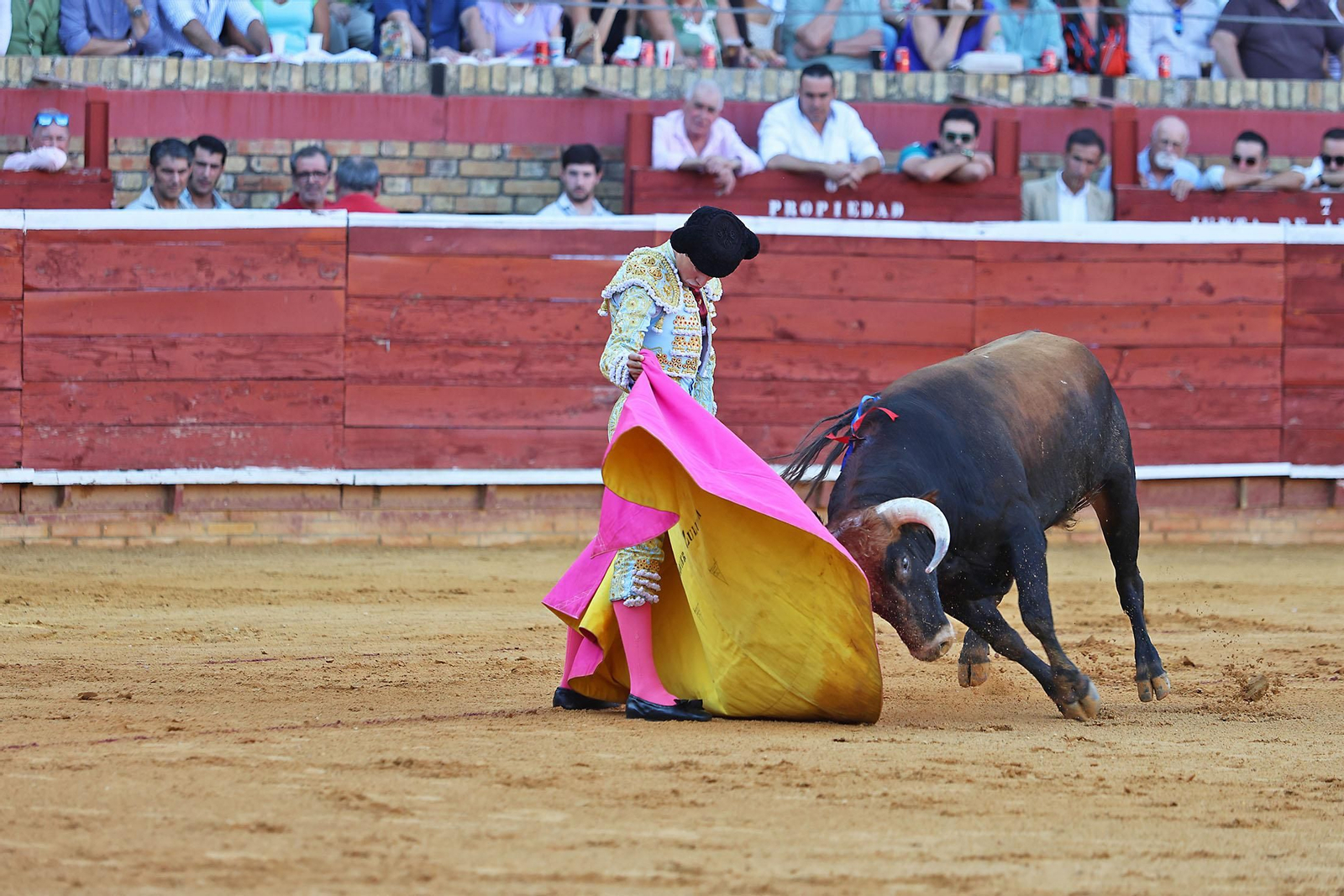Toros La Merced 2024 Novillada con picadores(
