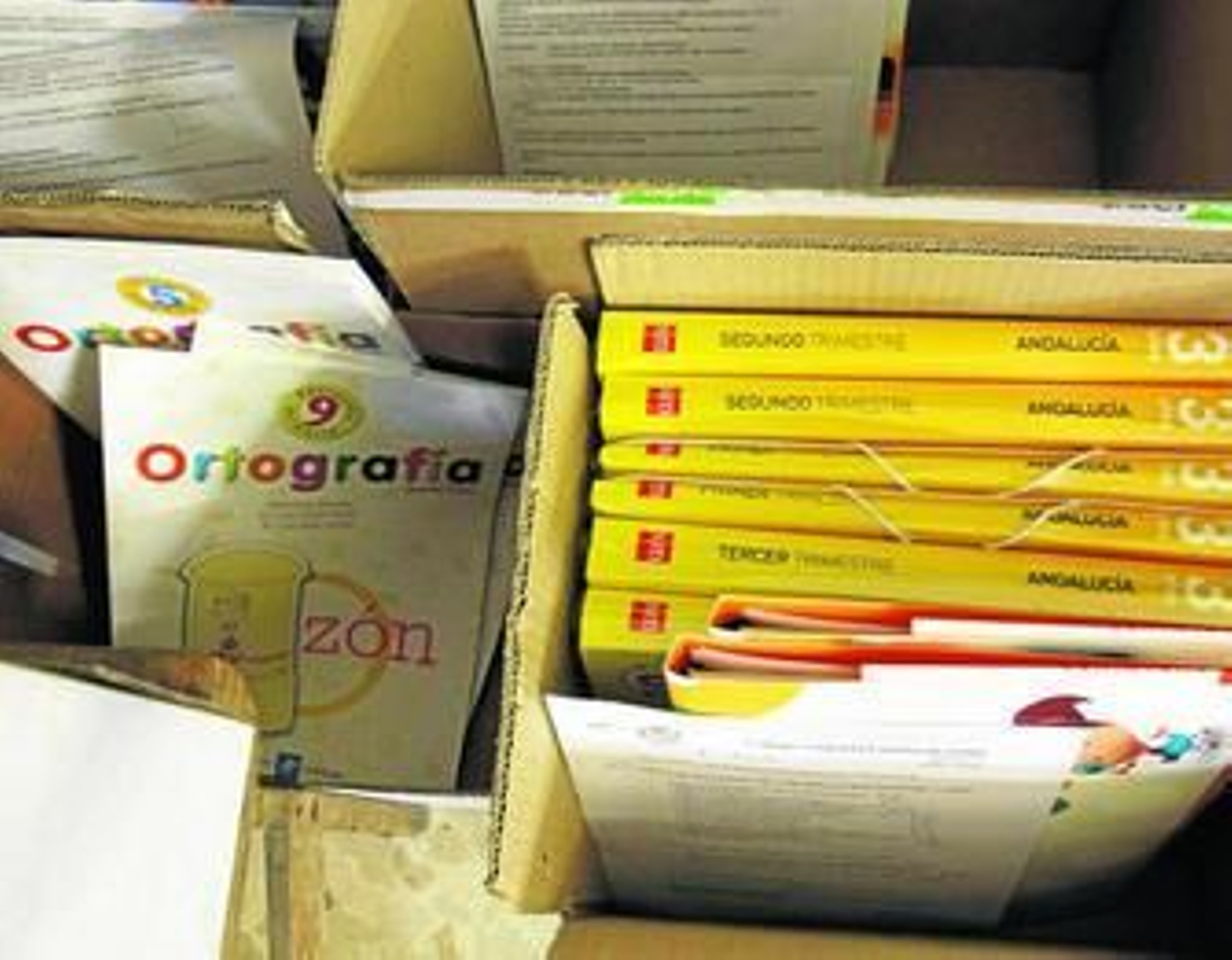 Cajas con libros de texto en una librería.