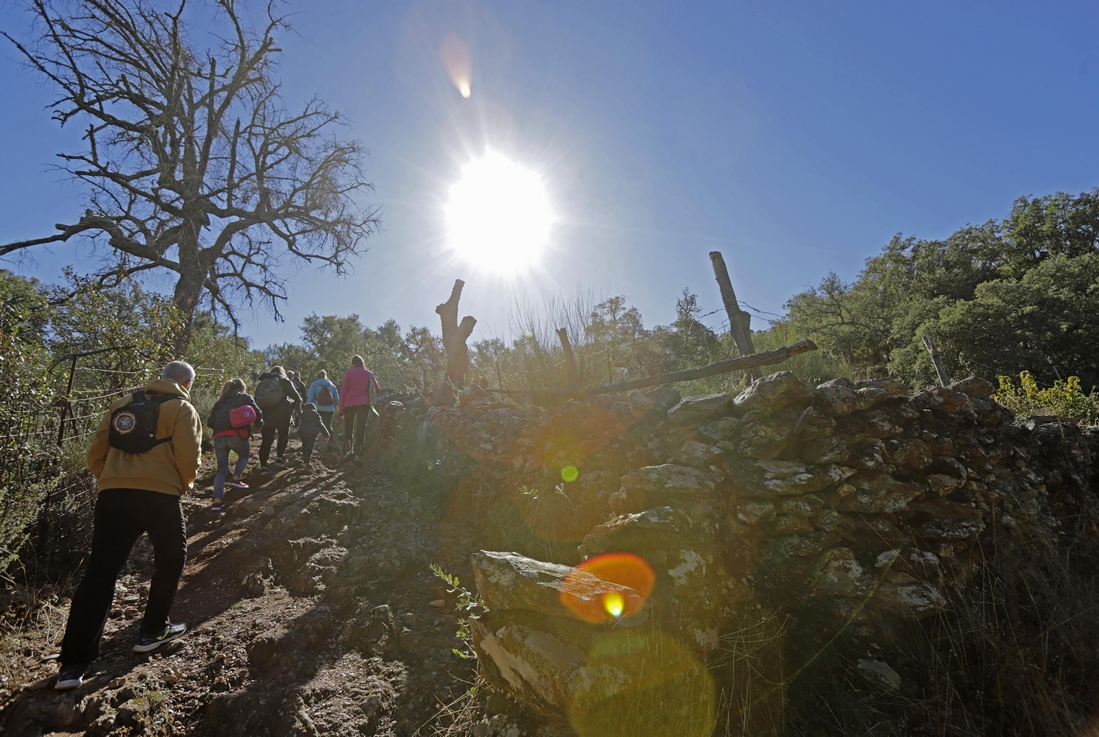 Ruta de Senderismo Charco Malo