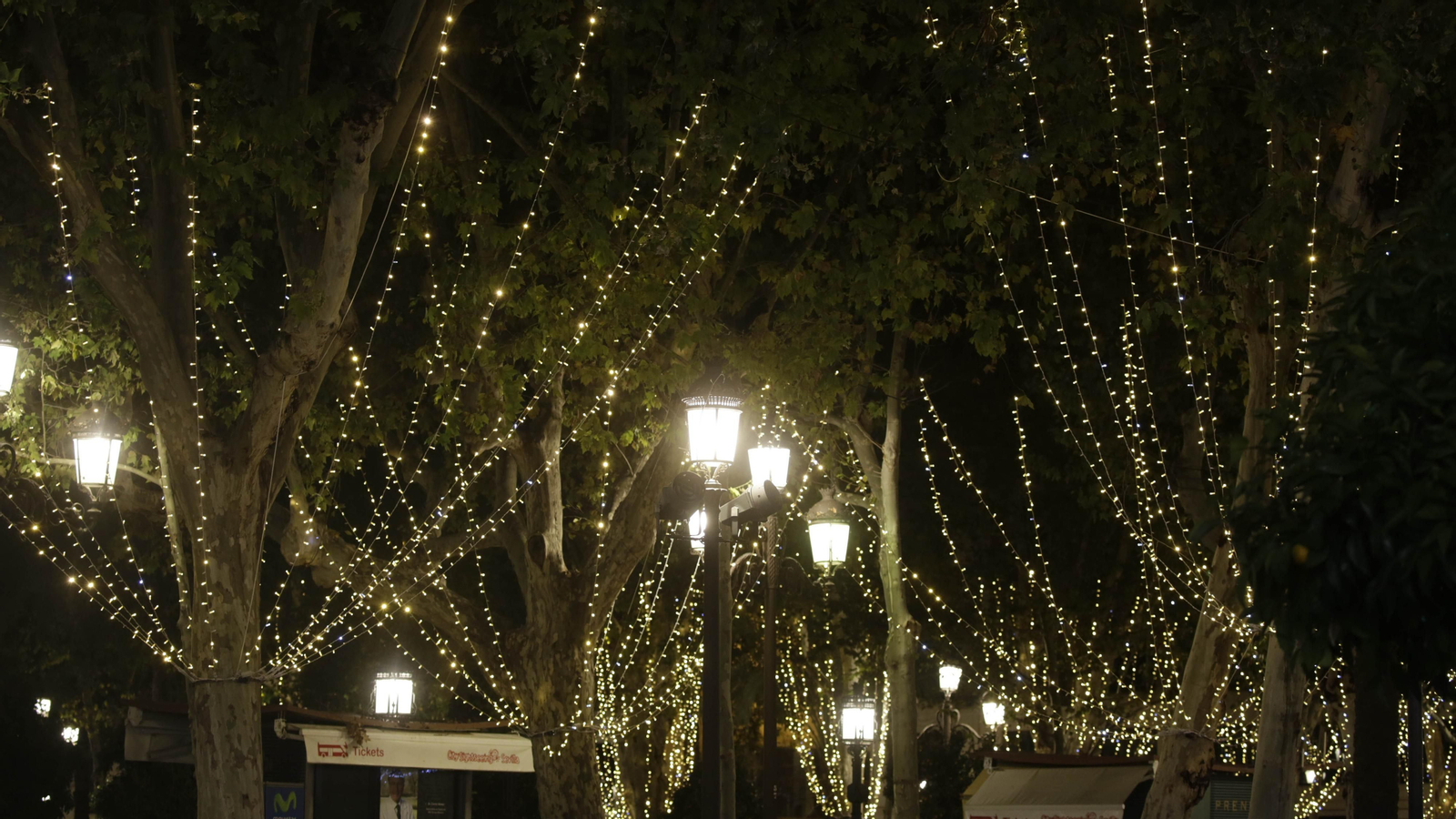 Las imágenes del encendido de las luces de navidad en el centro de Sevilla