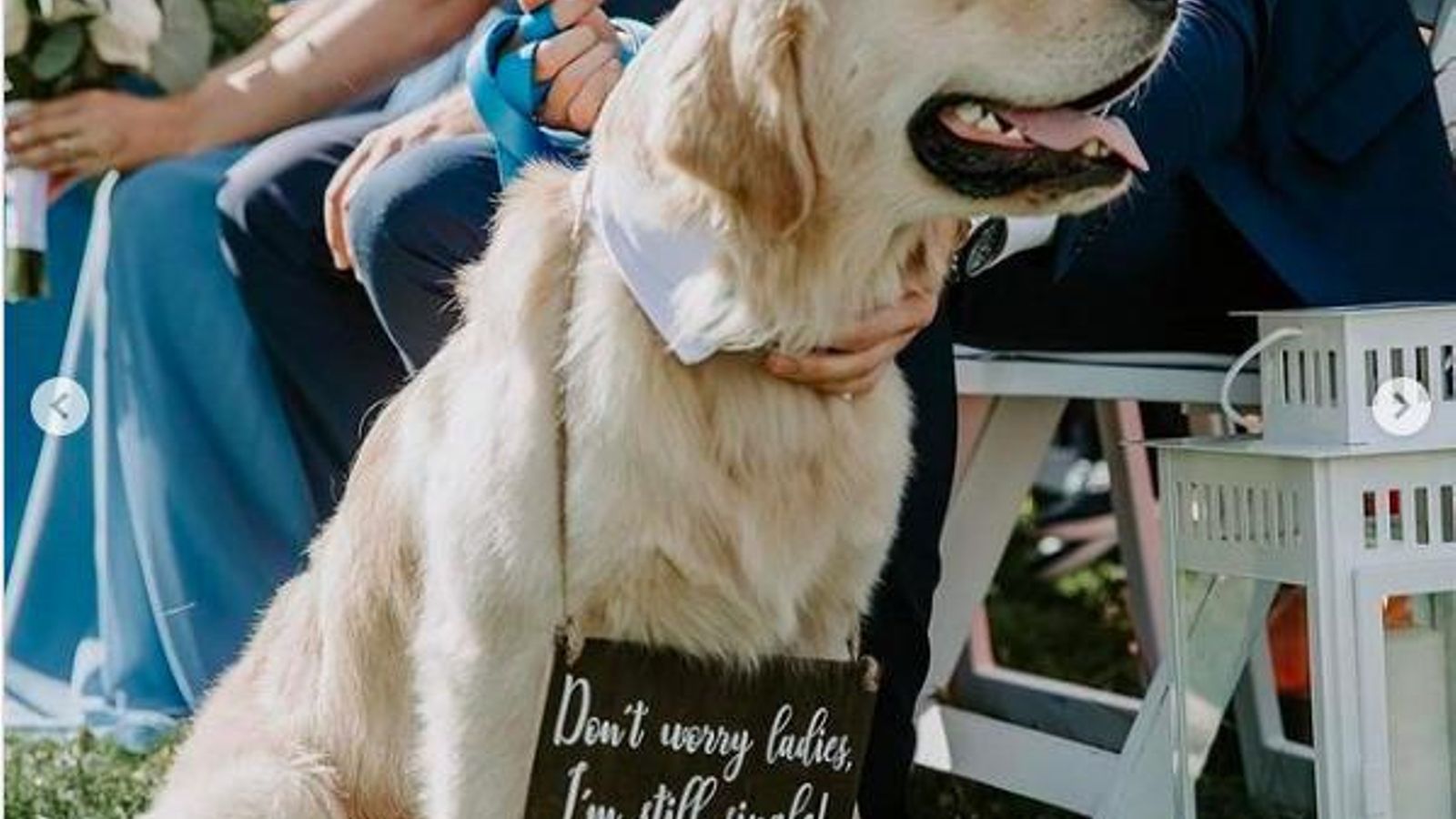 Bear en la ceremonia