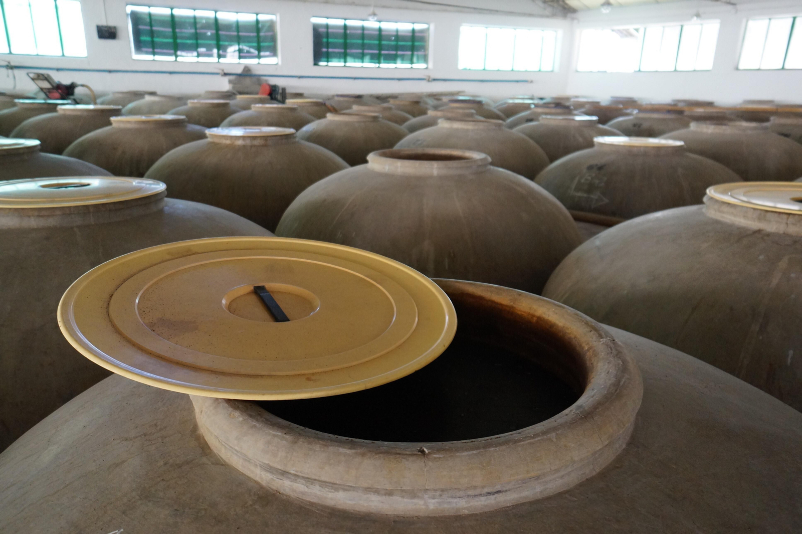 Un recorrido en fotografías por el vino nuevo de Moriles