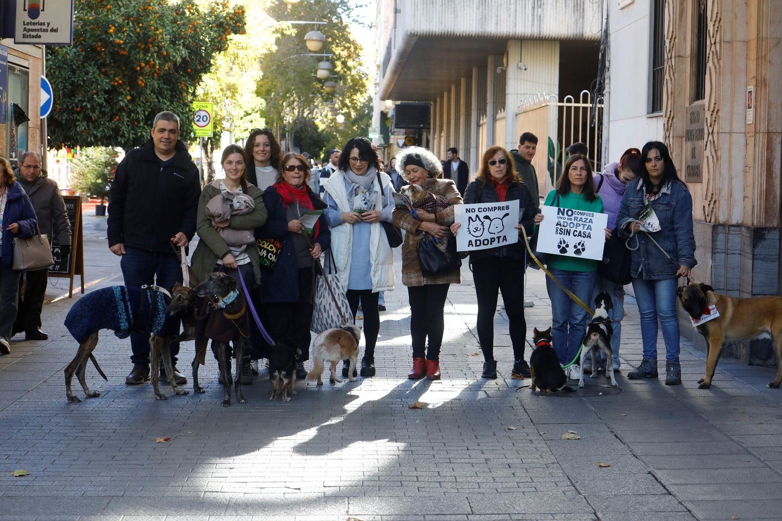 Las mejores imágenes del desfile preadopción de perros y gatos en Córdoba