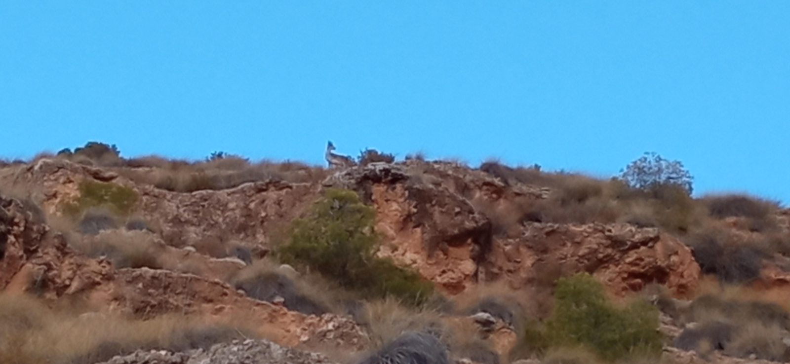 Las imágenes de la ruta Hinojares - Cuenca - Hinojares